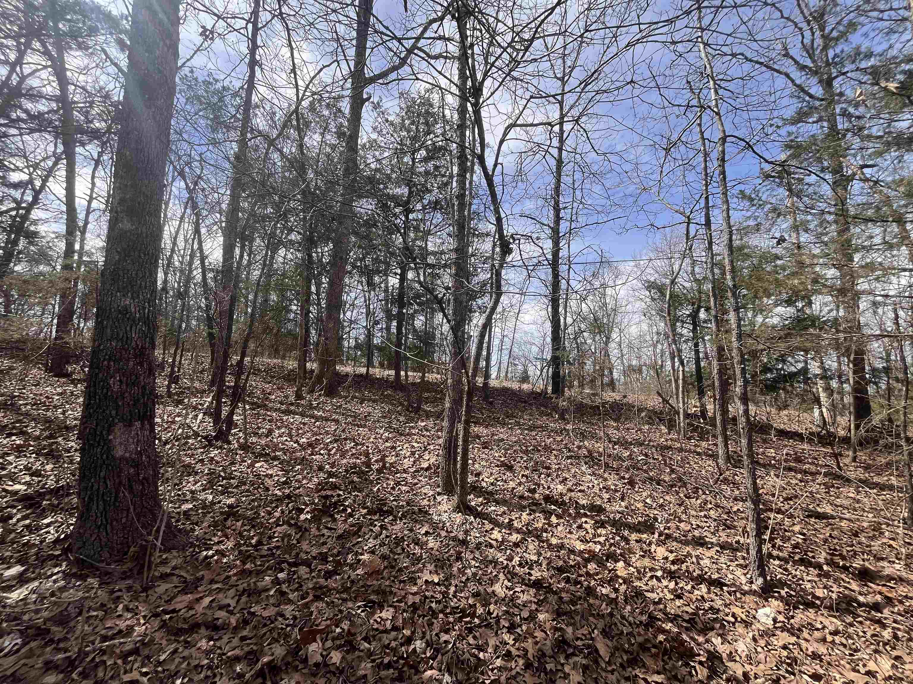 Photo 2 - Vacant Land for sale – 000  Boanna   Cherokee Village, MO