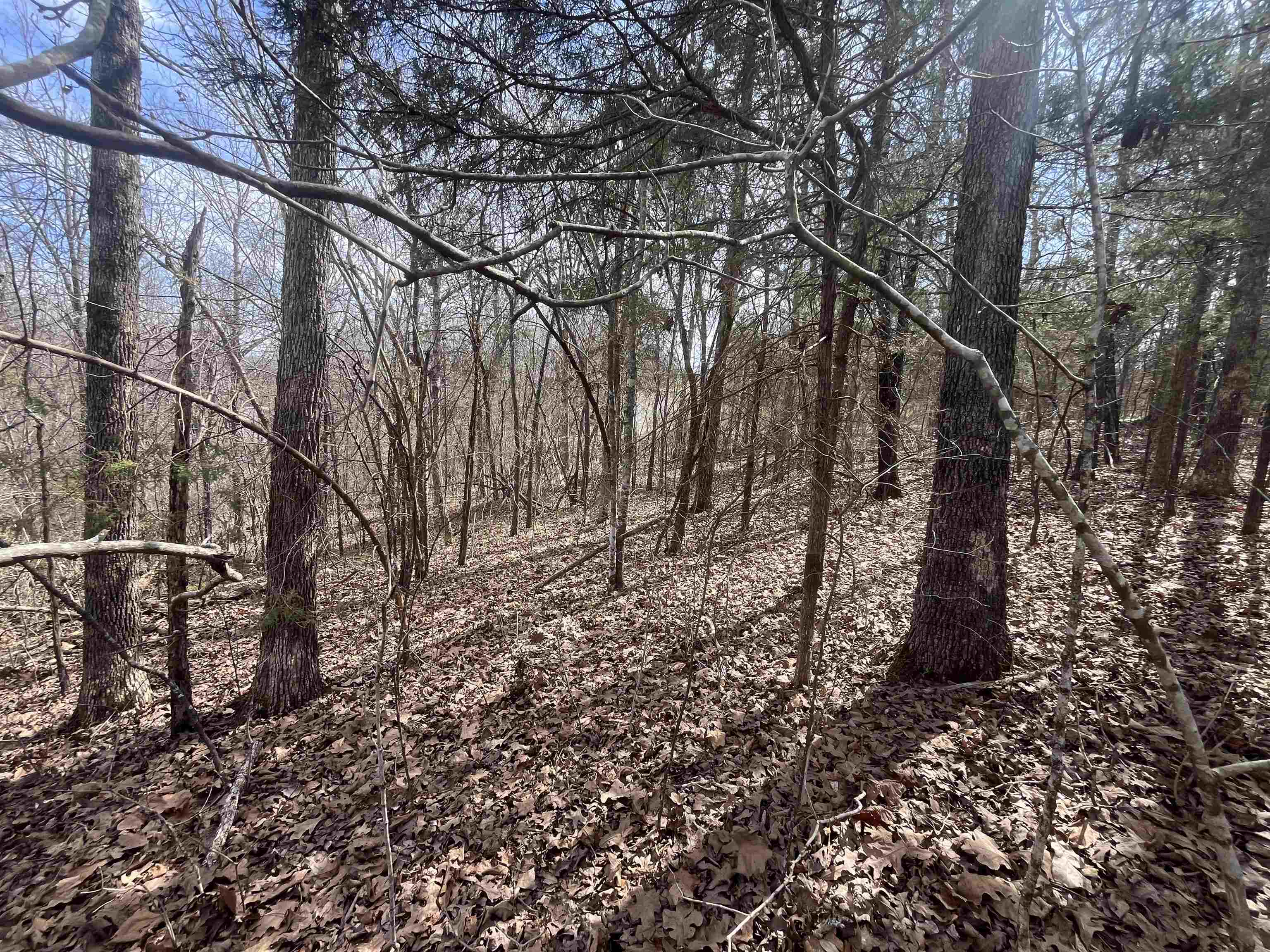 Photo 3 - Vacant Land for sale – 000  Boanna   Cherokee Village, MO
