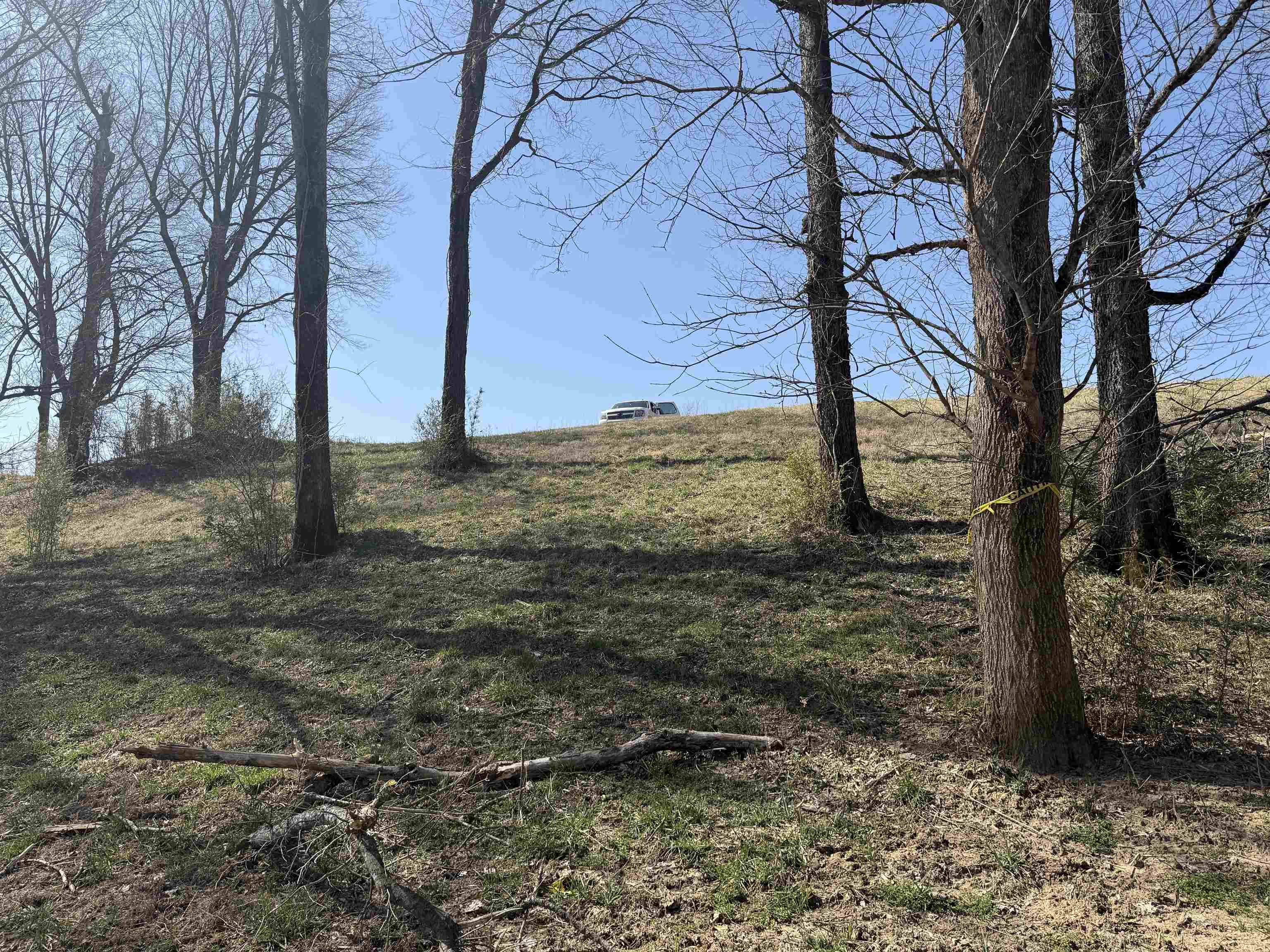 Photo 5 - Vacant Land for sale – 929  McPhearson Terrace   Calico Rock, AR
