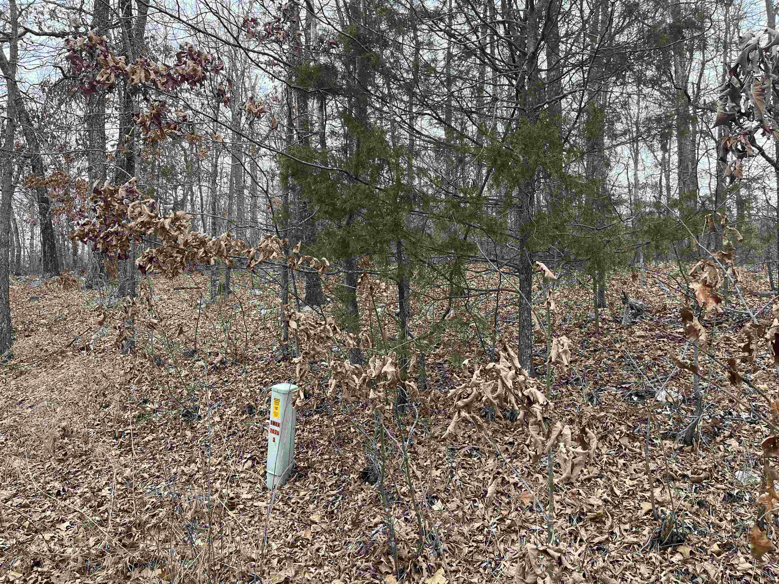 Photo 2 - Vacant Land for sale – TBD  Kamiakin   Cherokee Village, AR