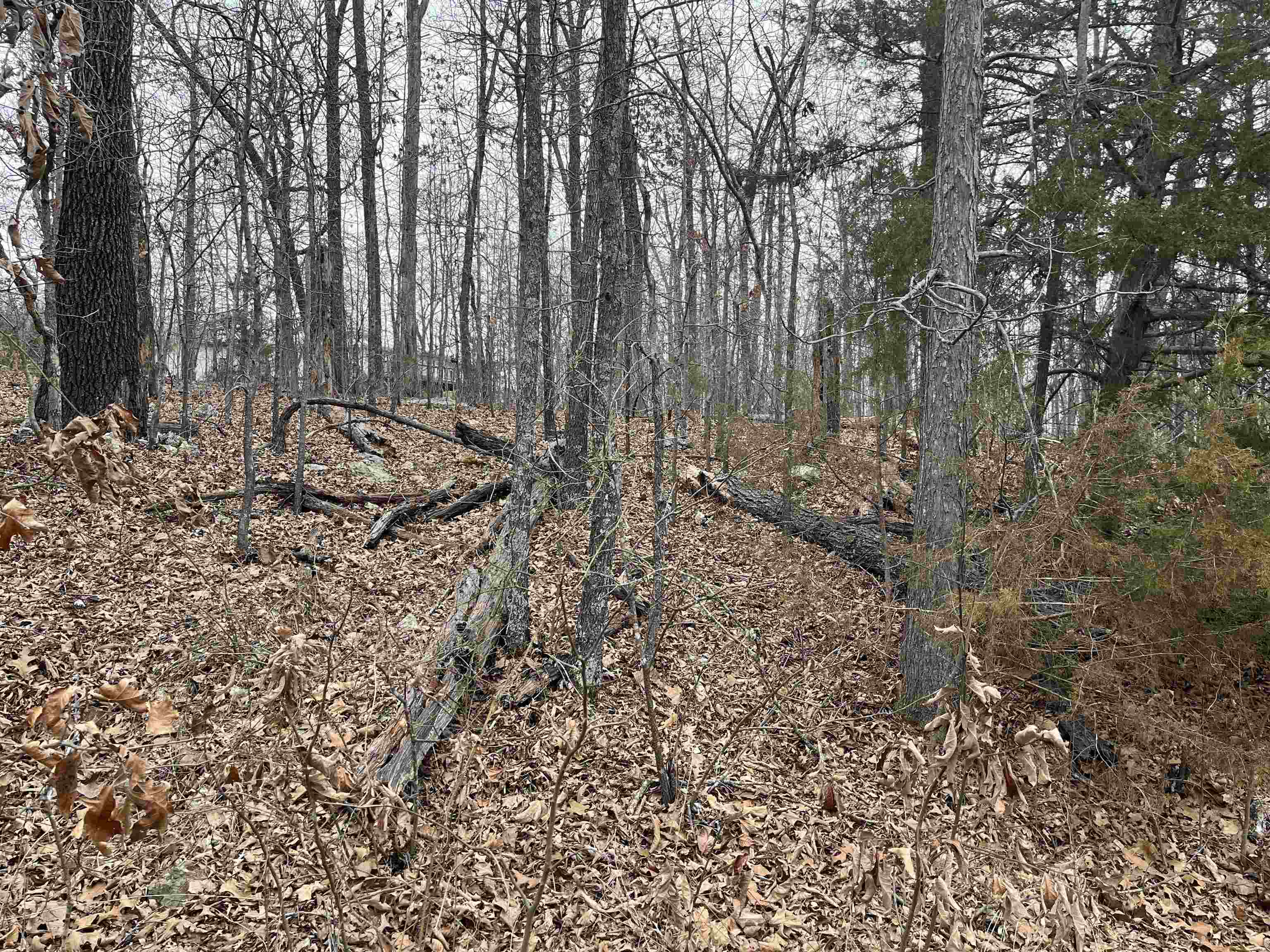 Photo 3 - Vacant Land for sale – TBD  Kamiakin   Cherokee Village, AR