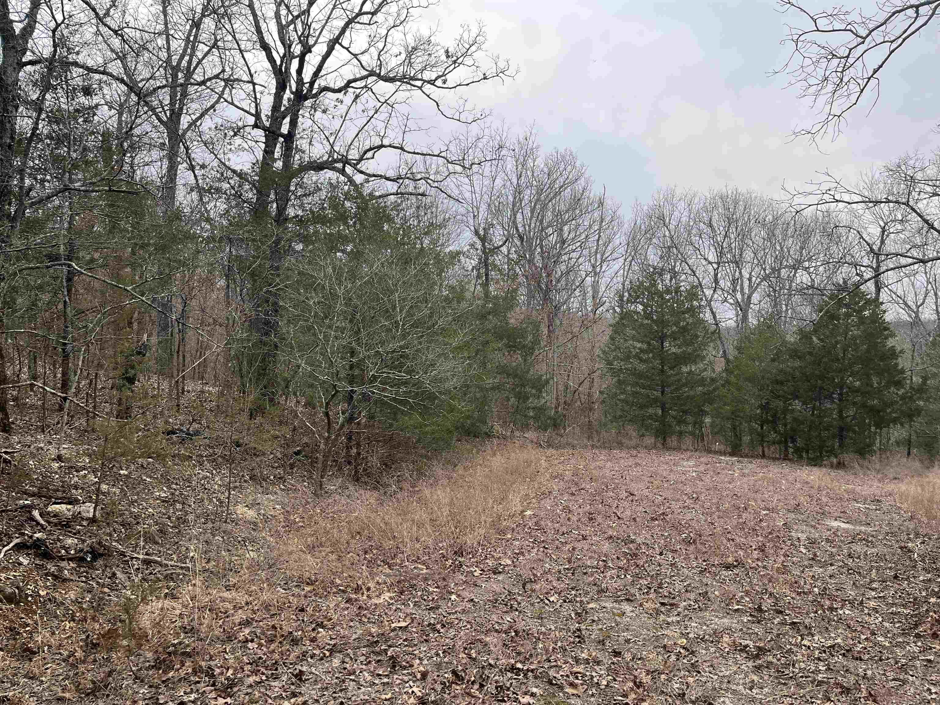 Photo 2 - Vacant Land for sale – TBD  Owasso Lane   Cherokee Village, AR