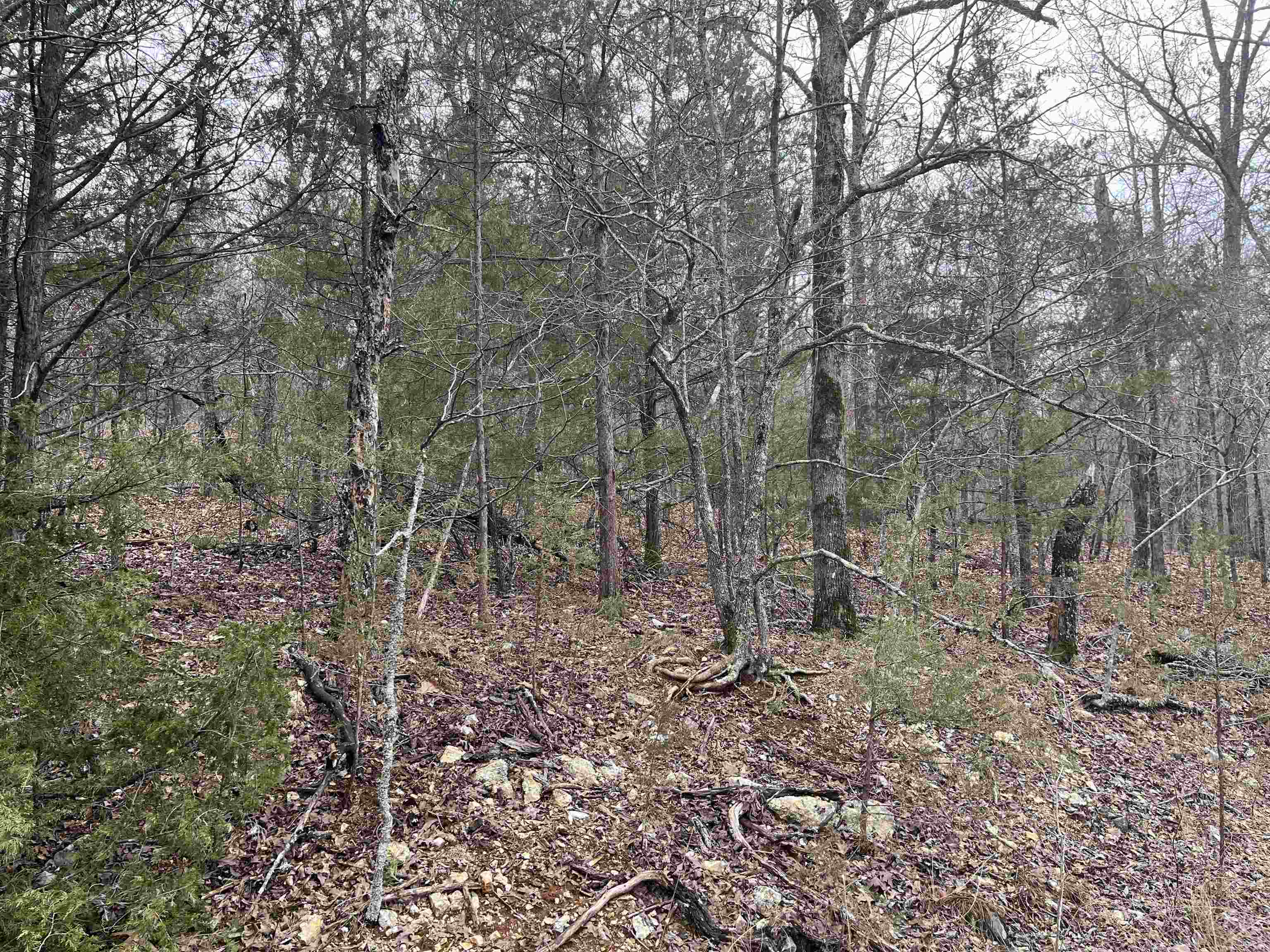 Photo 3 - Vacant Land for sale – TBD  Owasso Lane   Cherokee Village, AR
