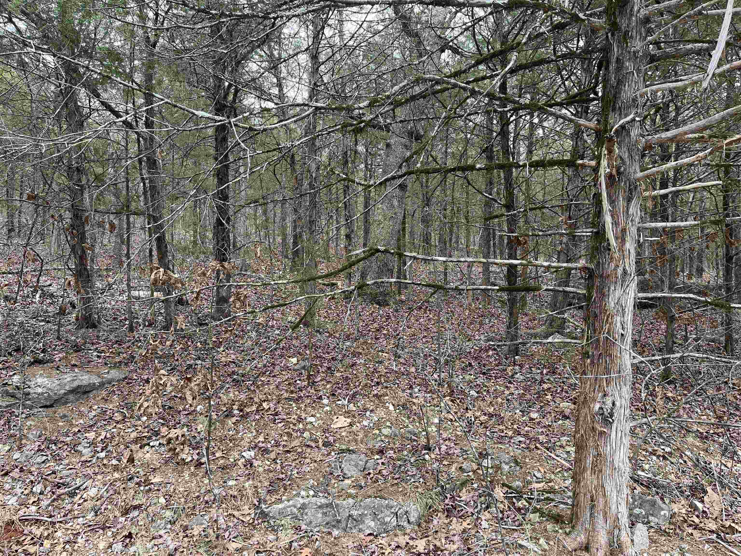 Photo 2 - Vacant Land for sale – TBD  San Ildefonso Trace   Cherokee Village, AR