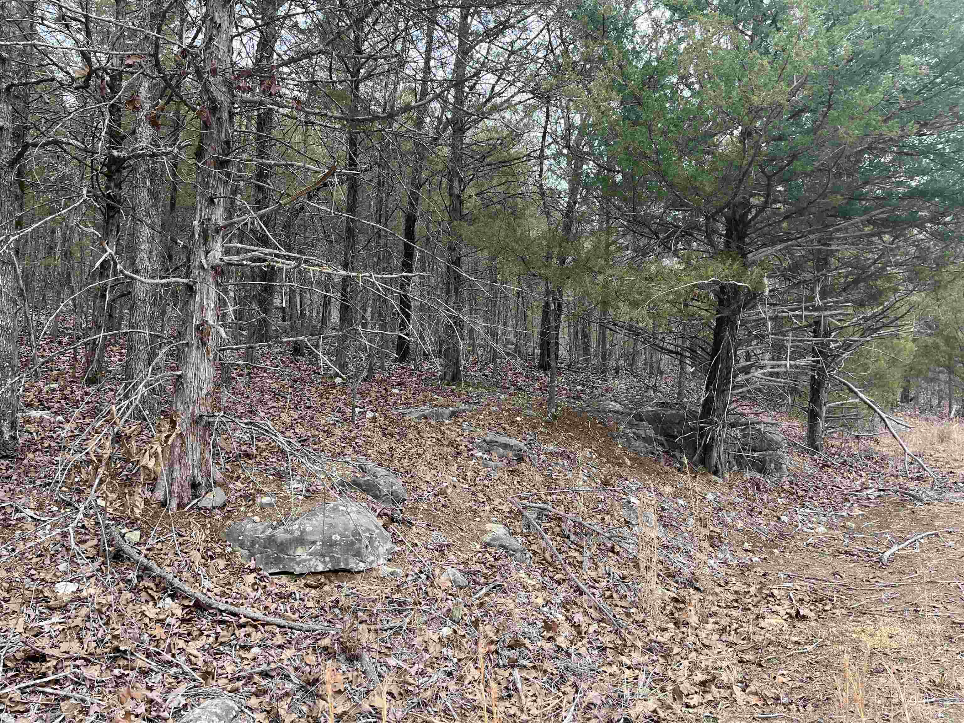 Photo 3 - Vacant Land for sale – TBD  San Ildefonso Trace   Cherokee Village, AR