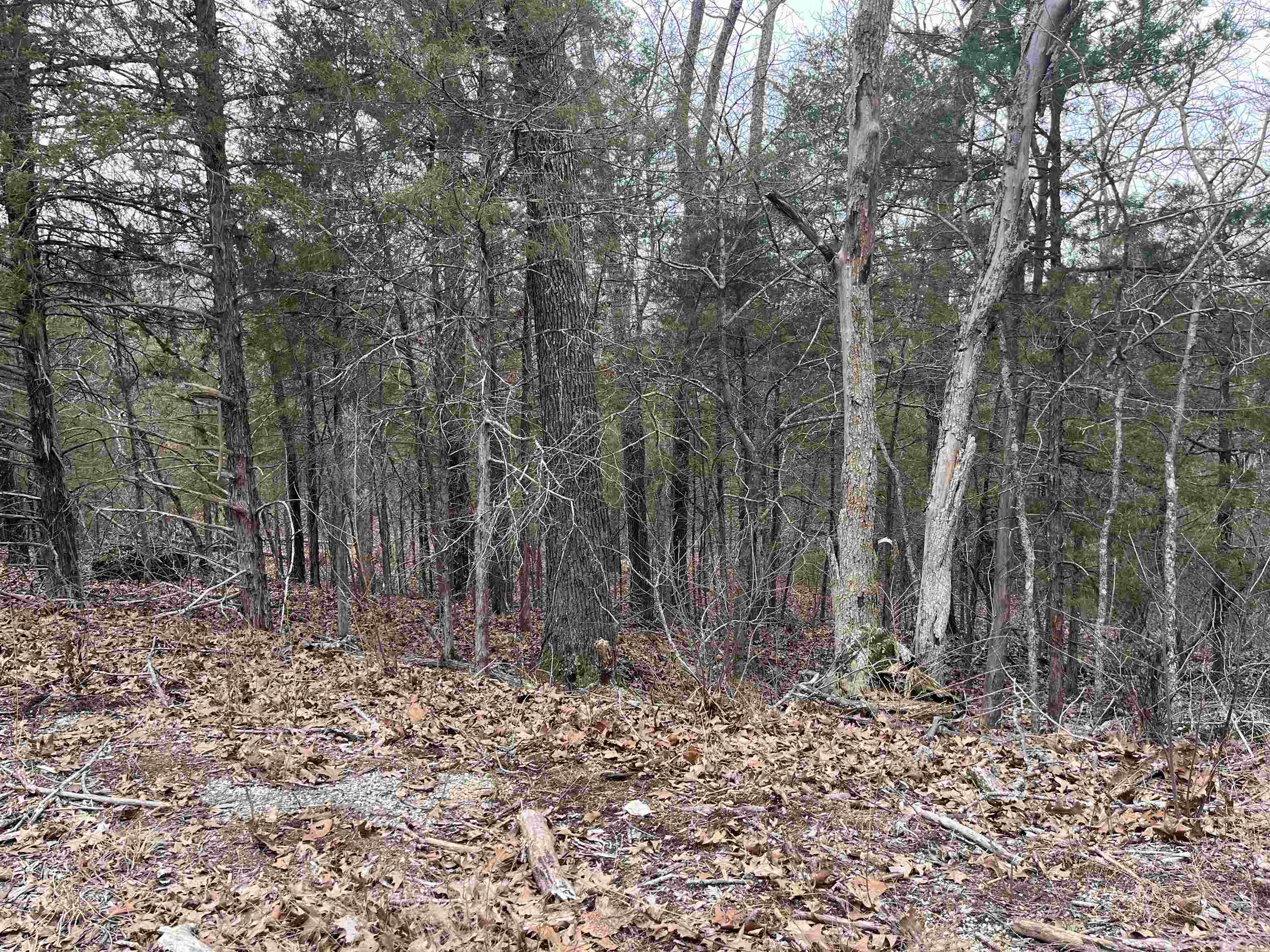 Photo 4 - Vacant Land for sale – TBD  San Ildefonso Trace   Cherokee Village, AR