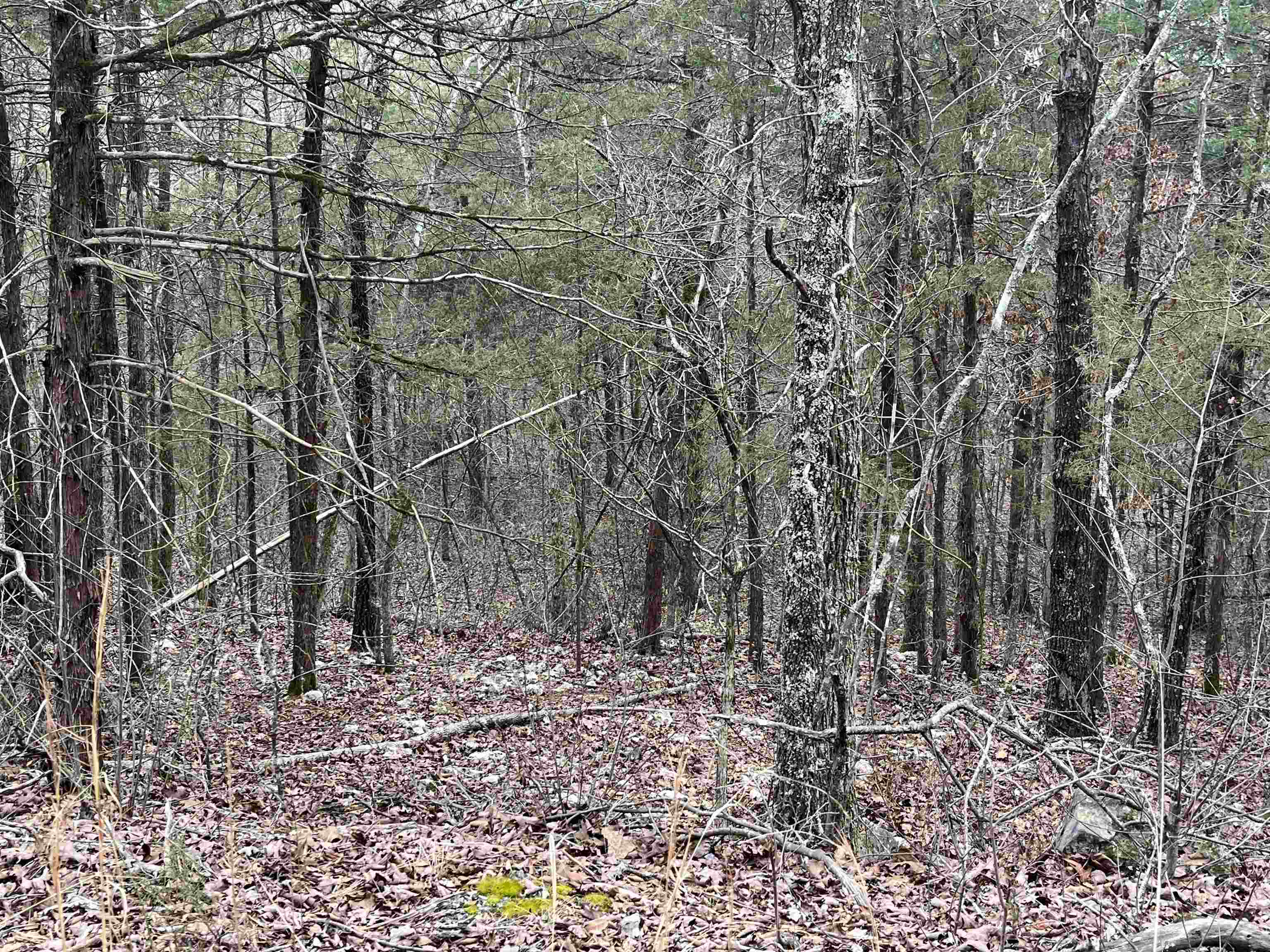 Photo 5 - Vacant Land for sale – TBD  San Ildefonso Trace   Cherokee Village, AR
