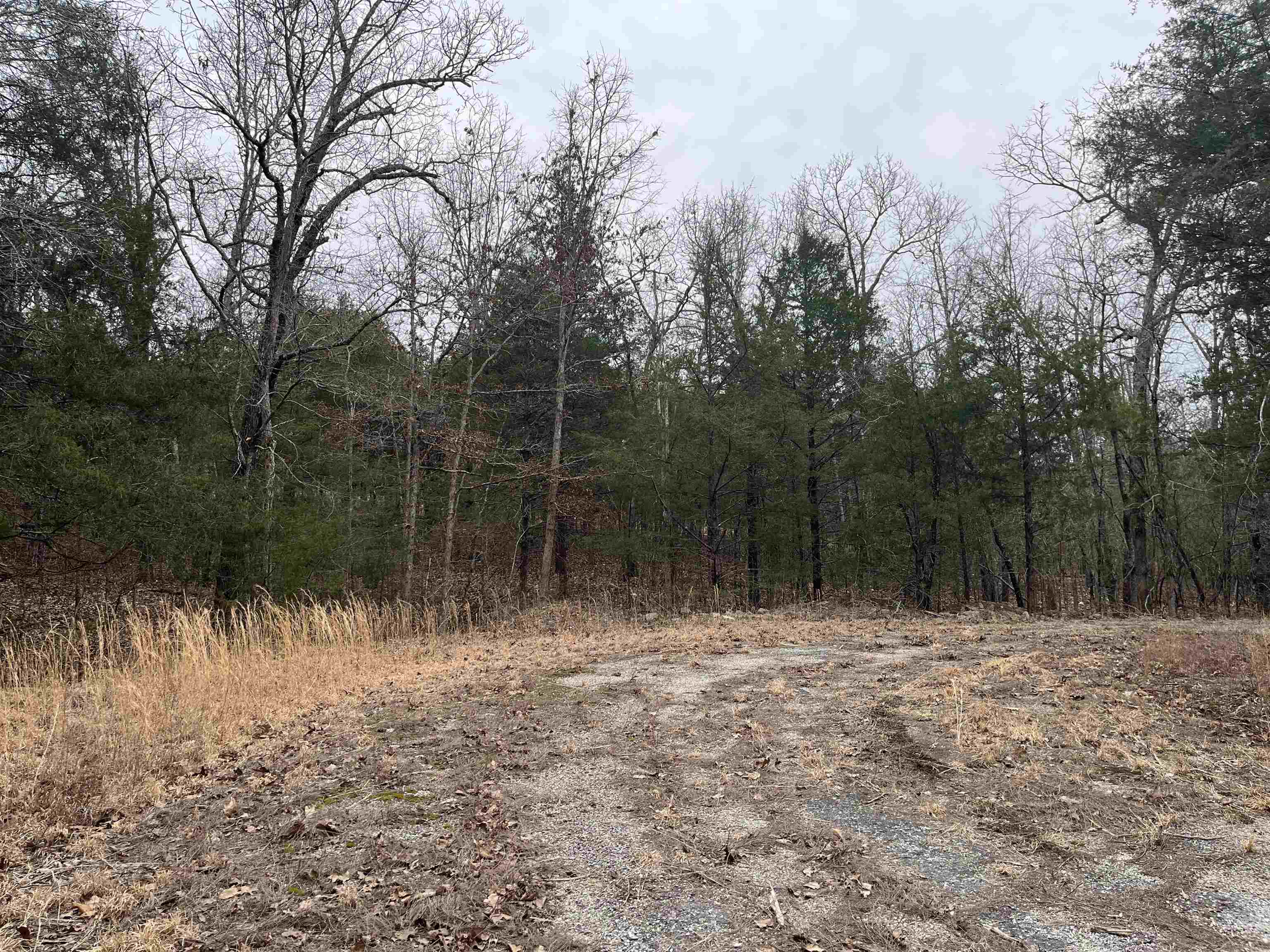 Photo 6 - Vacant Land for sale – TBD  San Ildefonso Trace   Cherokee Village, AR
