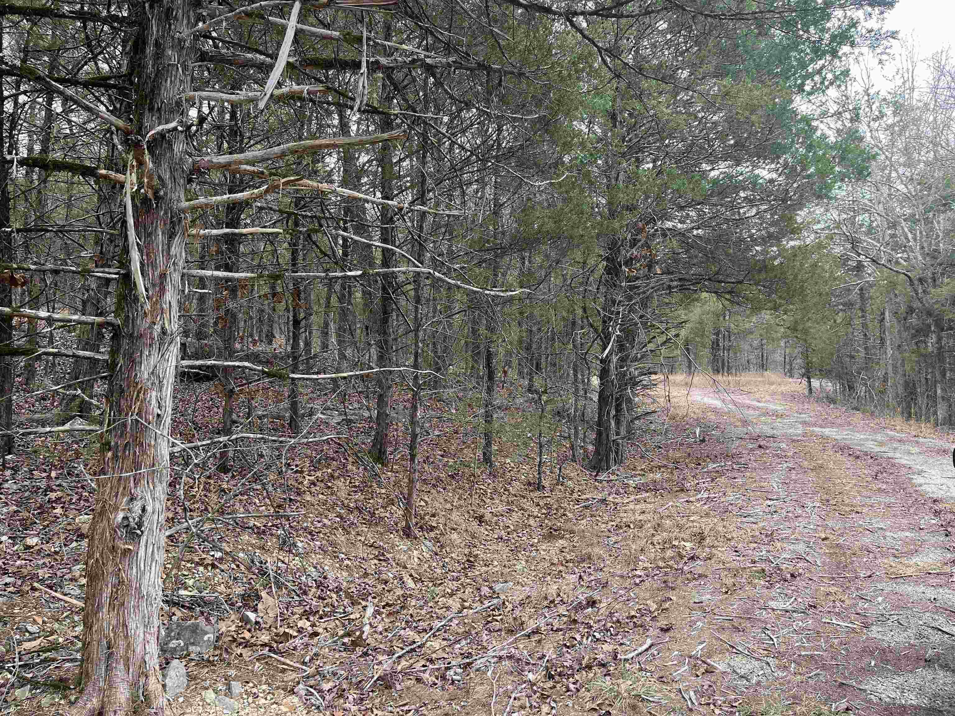 Photo 7 - Vacant Land for sale – TBD  San Ildefonso Trace   Cherokee Village, AR