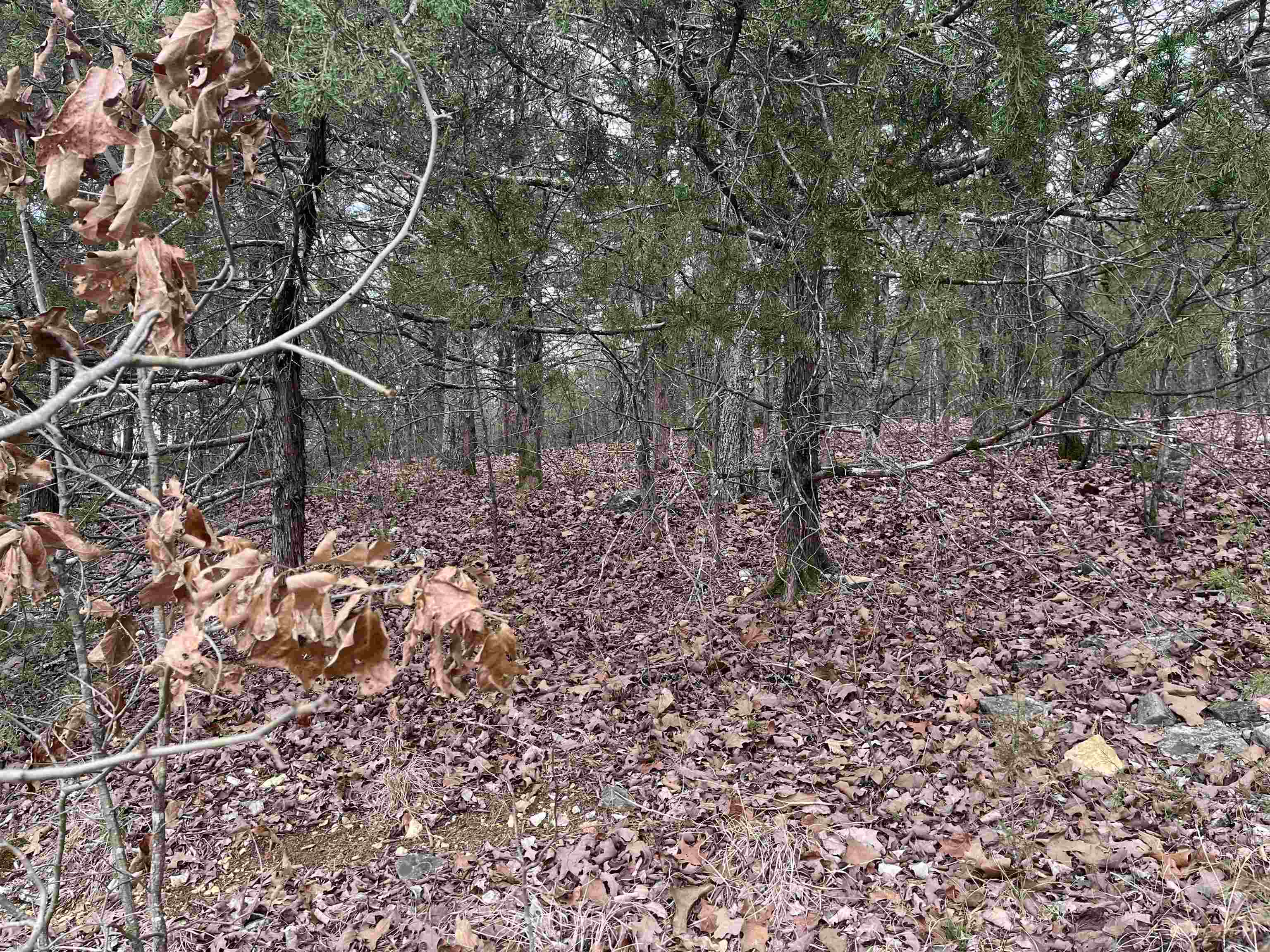 Photo 2 - Vacant Land for sale – TBD  Isleta Drive   Cherokee Village, AR