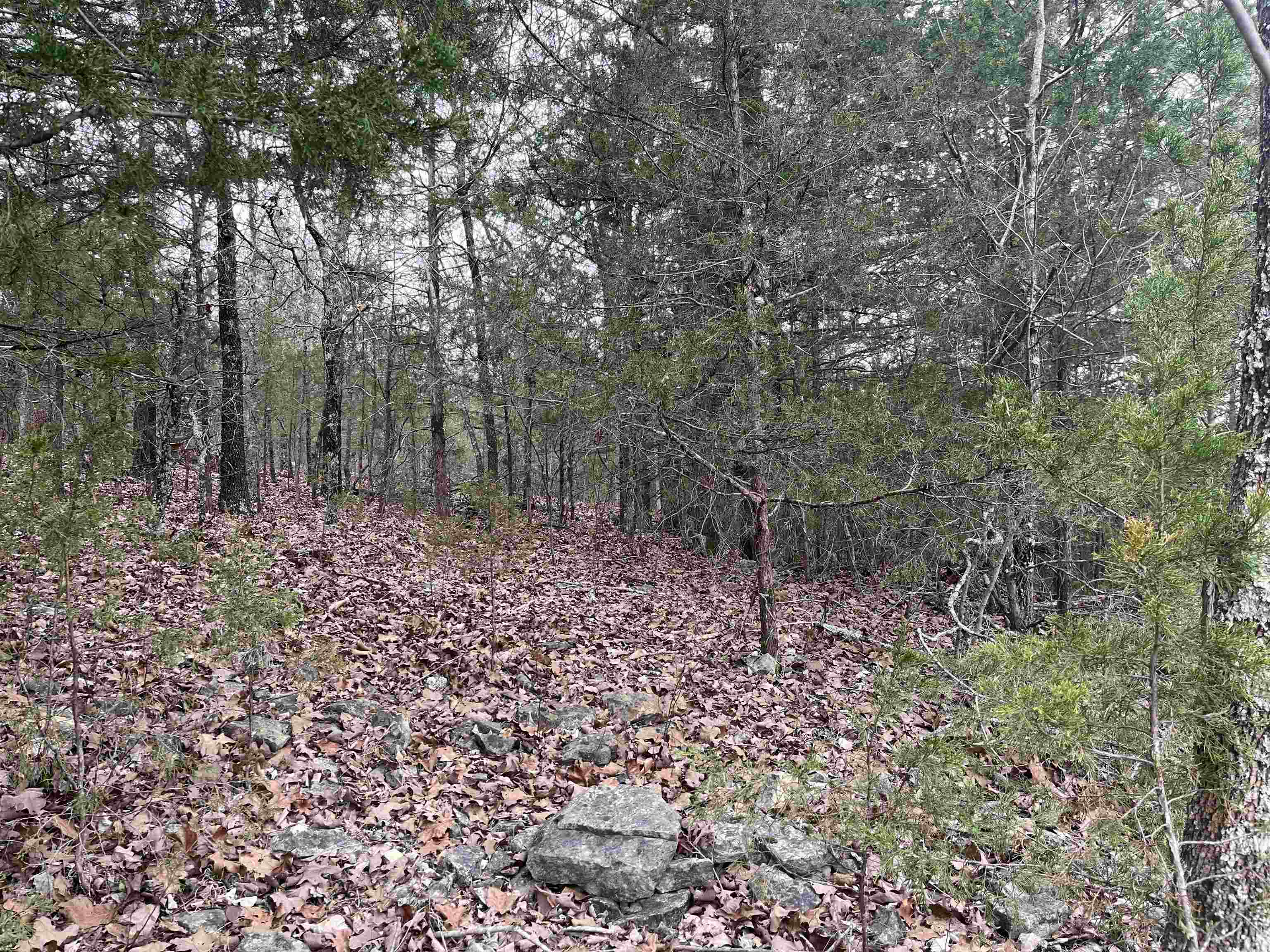 Photo 3 - Vacant Land for sale – TBD  Isleta Drive   Cherokee Village, AR