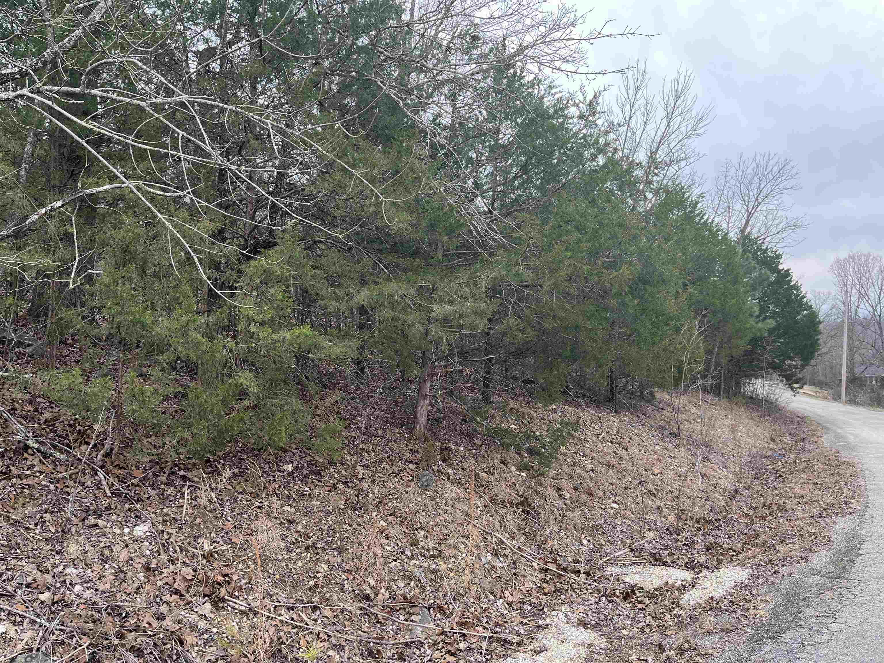 Photo 5 - Vacant Land for sale – TBD  Isleta Drive   Cherokee Village, AR
