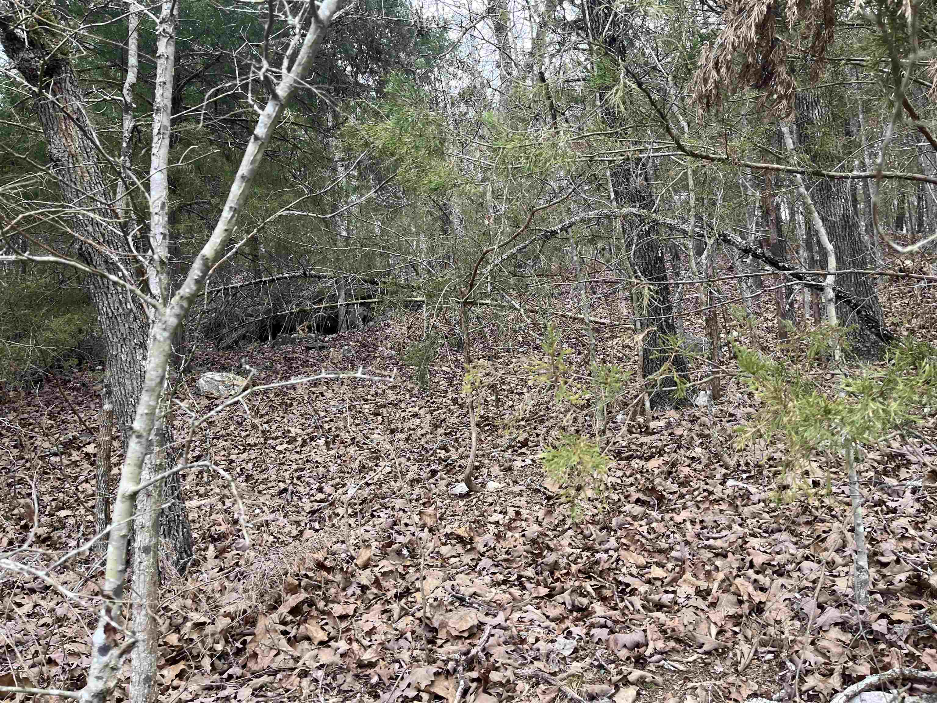 Vacant Land for sale – TBD  Isleta   Cherokee Village, AR