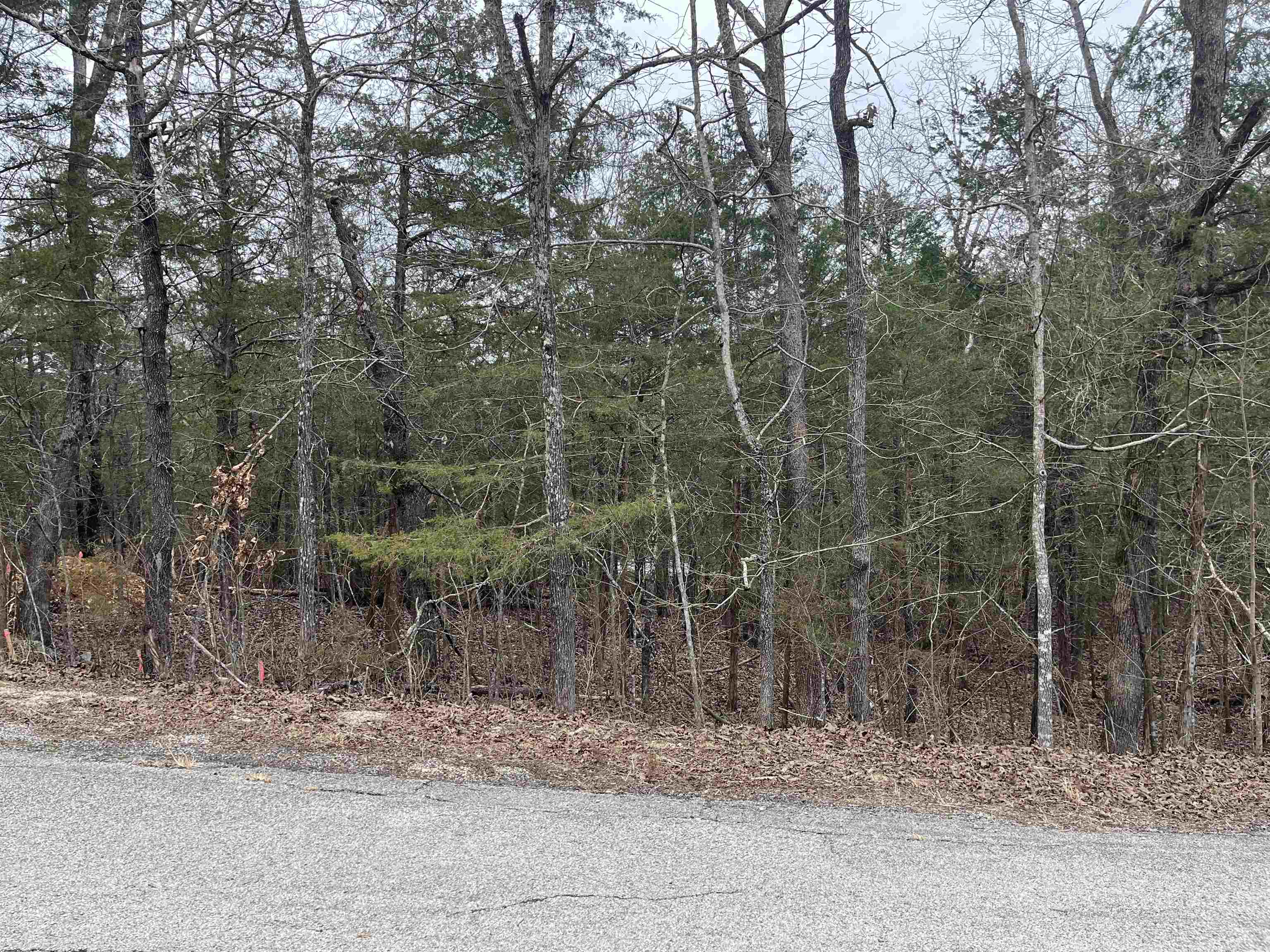 Photo 2 - Vacant Land for sale – TBD  Isleta   Cherokee Village, AR