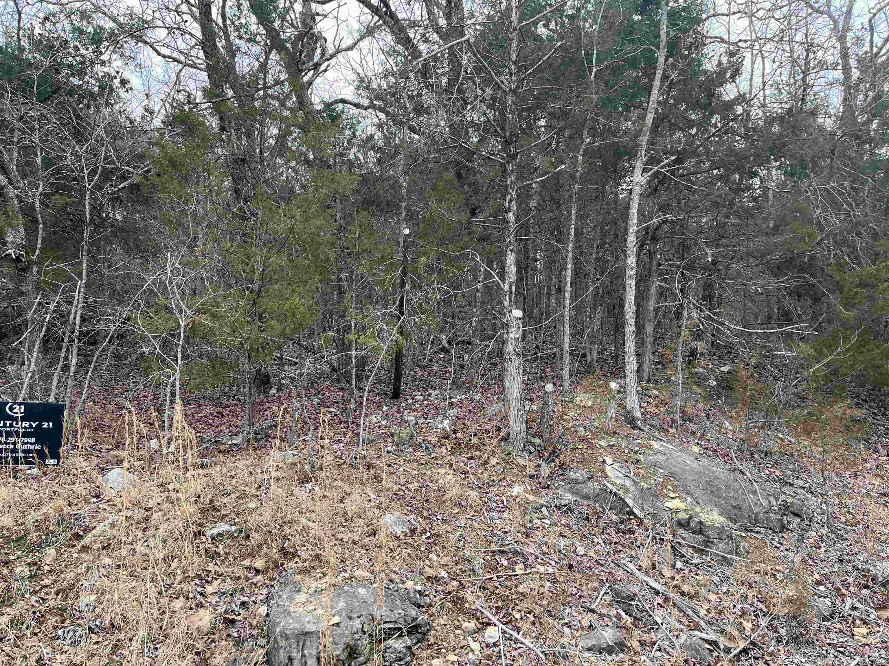 Photo 3 - Vacant Land for sale – TBD  Isleta   Cherokee Village, AR