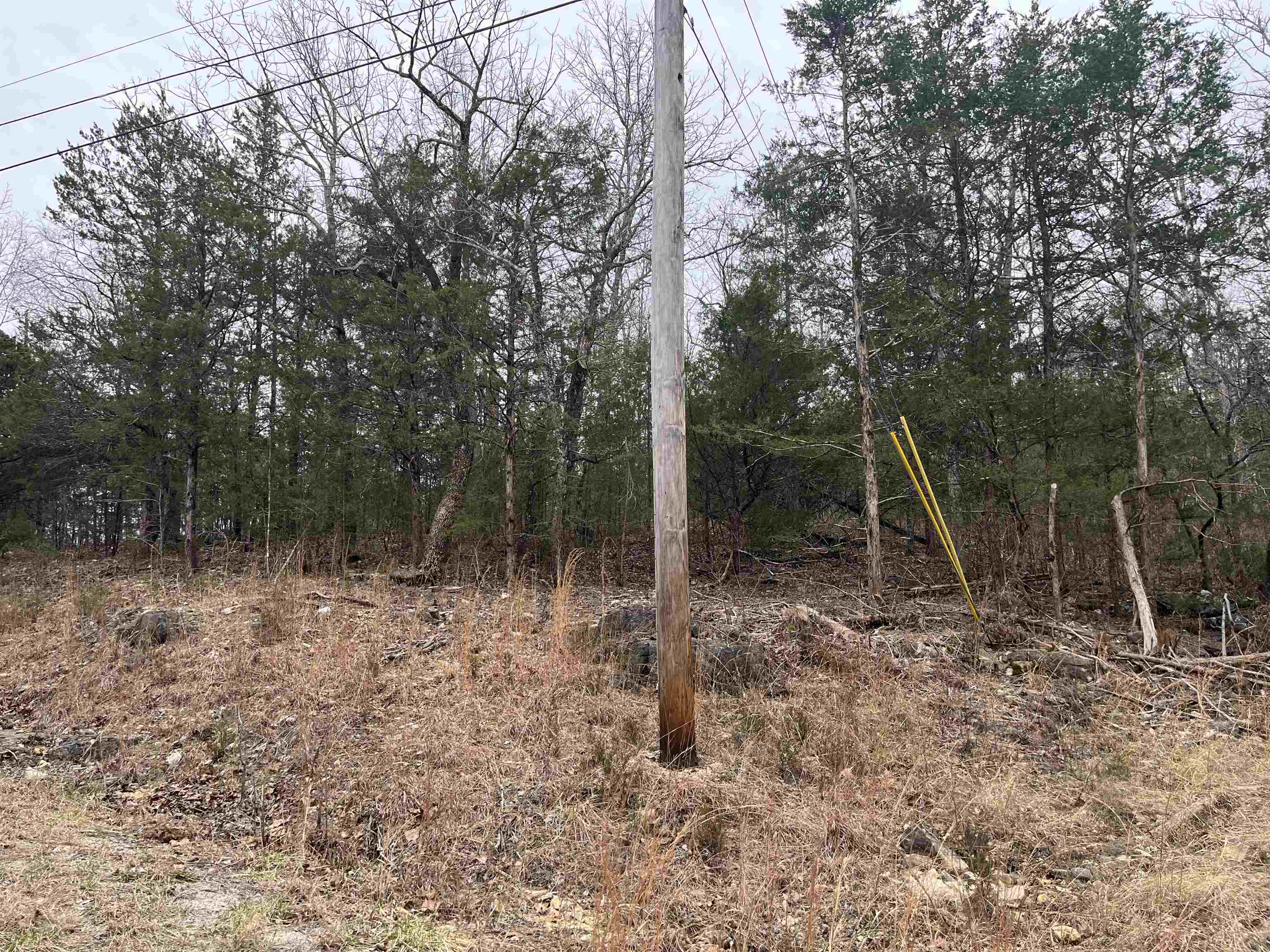 Photo 3 - Vacant Land for sale – TBD  Isleta Drive   Cherokee Village, AR