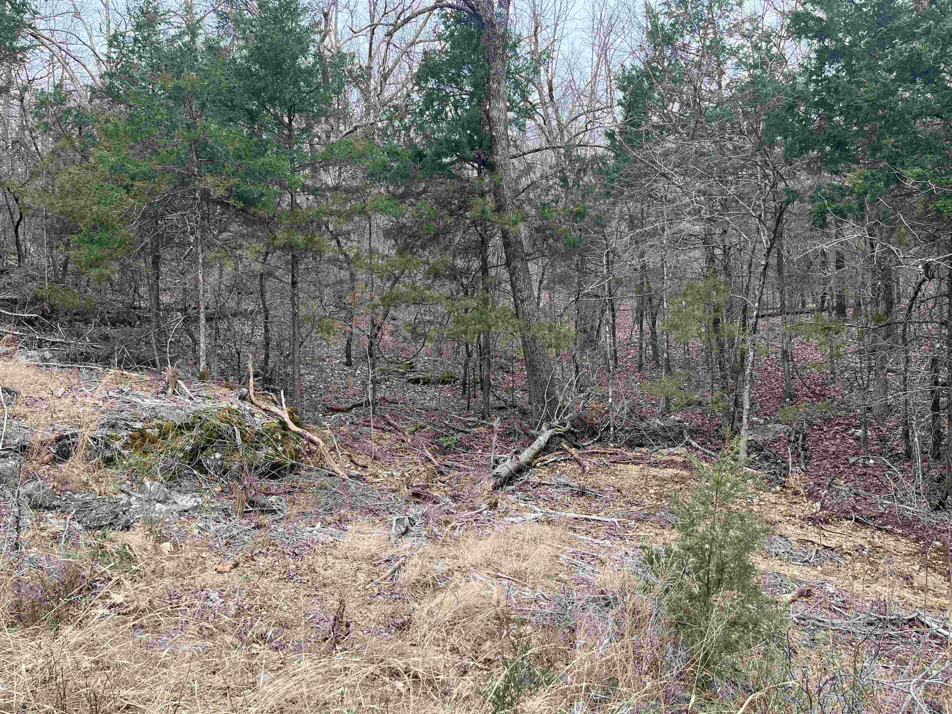 Photo 4 - Vacant Land for sale – TBD  Isleta Drive   Cherokee Village, AR