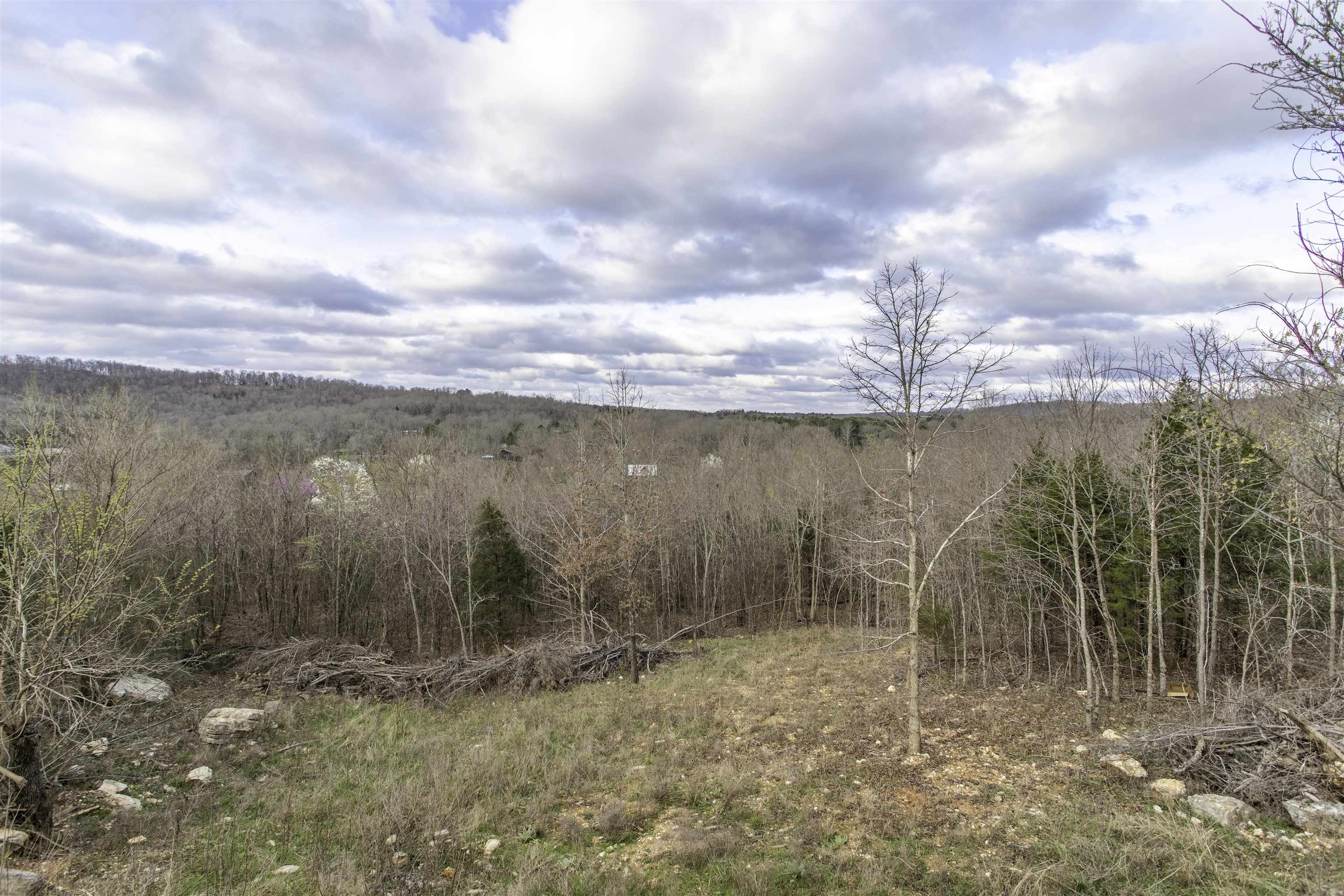Photo 32 - Residential for sale – 7  Jo Jo   Hardy, AR