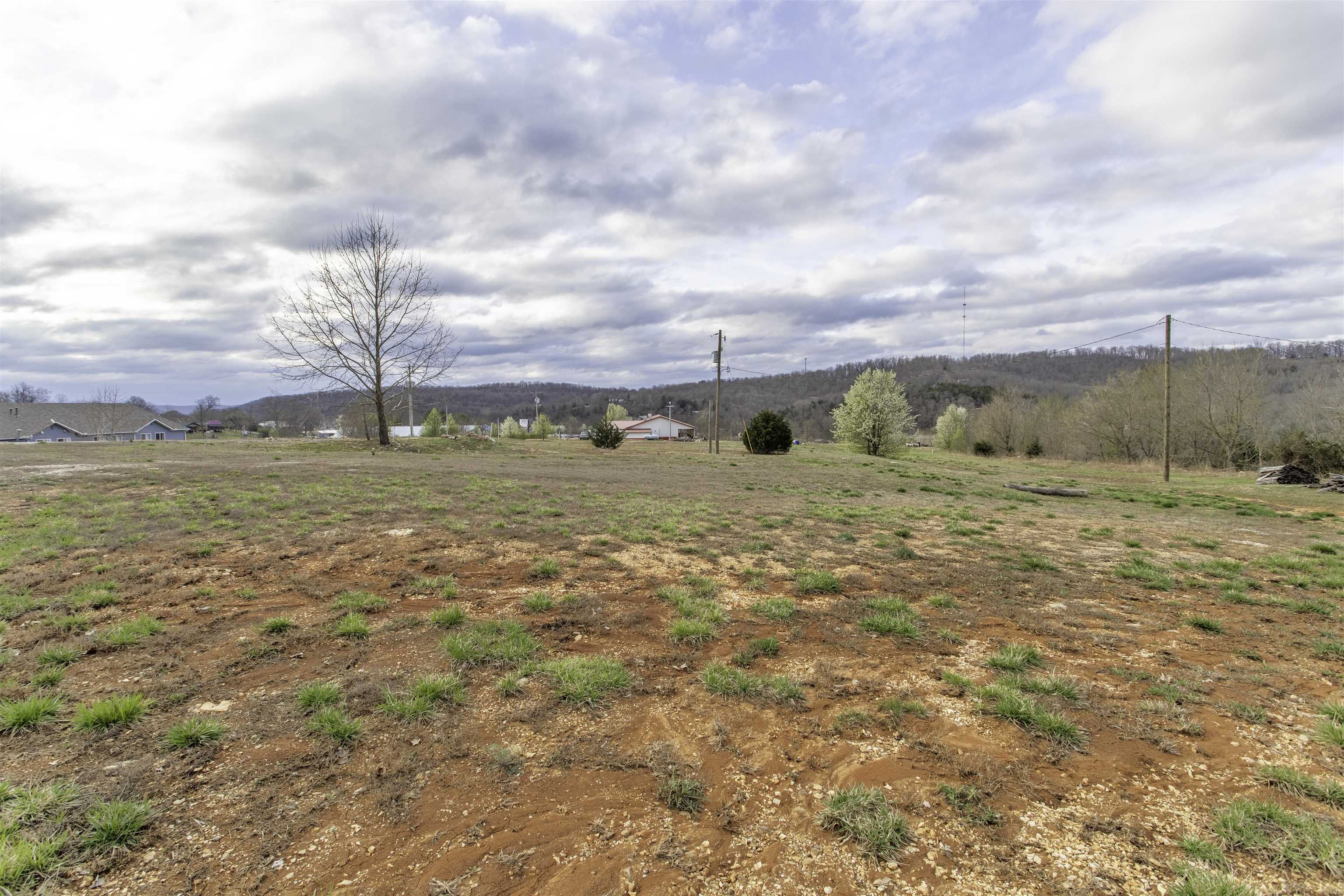 Photo 8 - Residential for sale – 7  Jo Jo   Hardy, AR