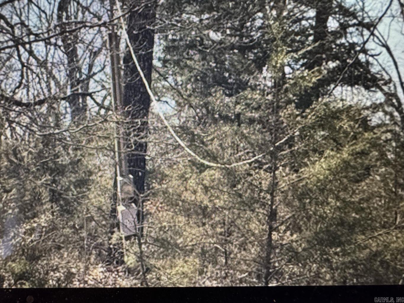 Photo 2 - Vacant Land for sale – 0  Sundown   Highland, AR