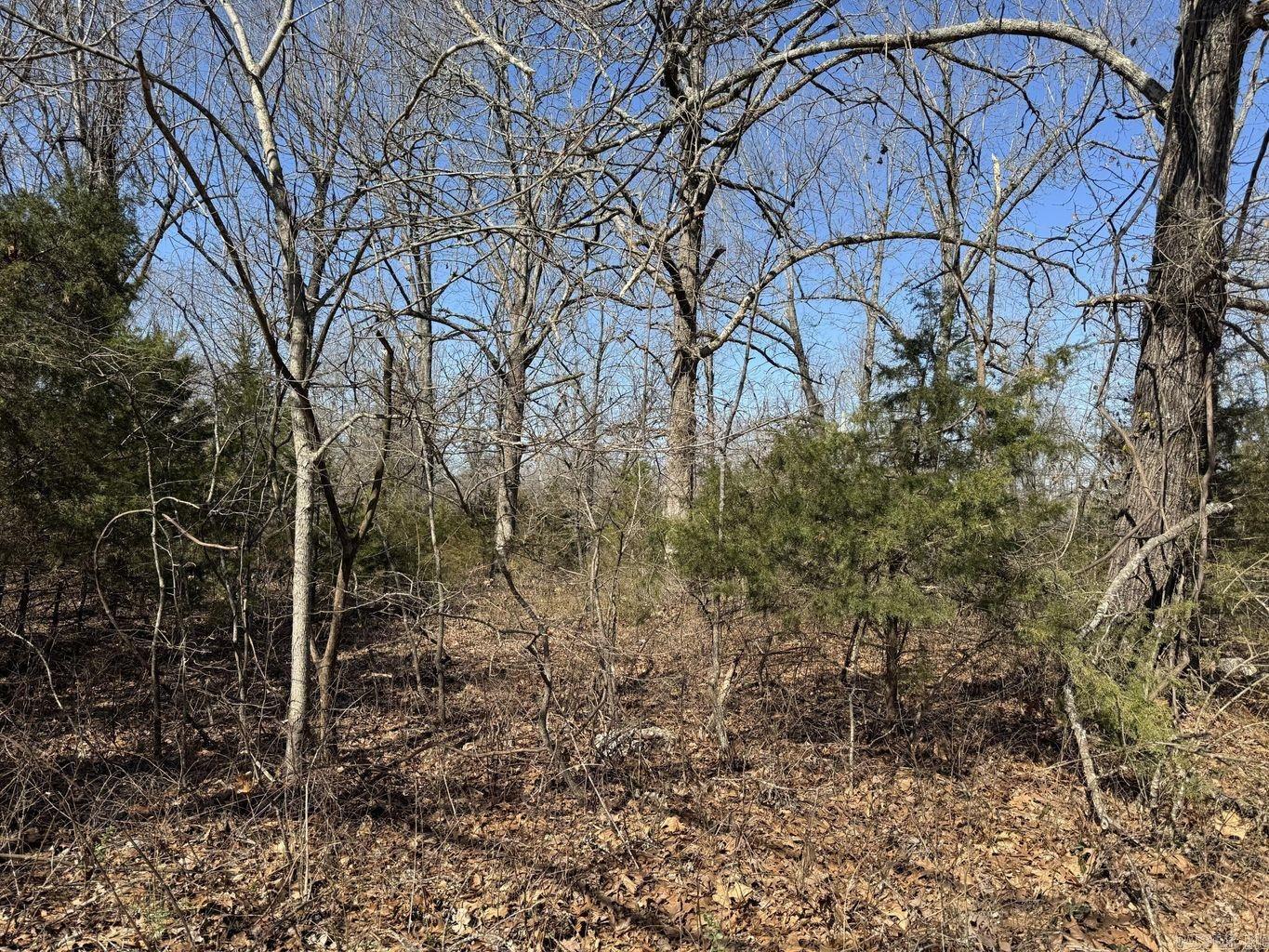 Photo 3 - Vacant Land for sale – 0  Sundown   Highland, AR