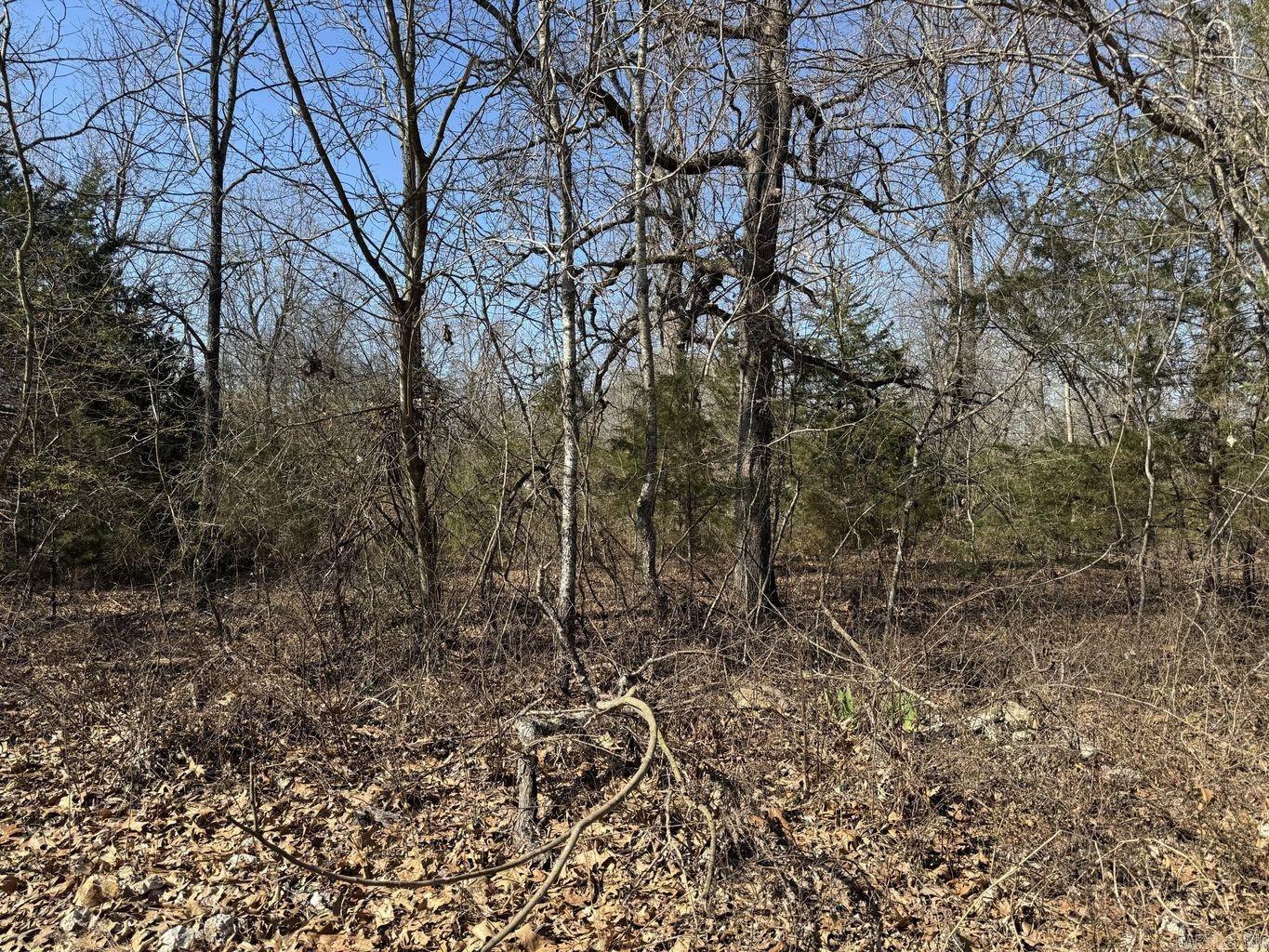 Photo 4 - Vacant Land for sale – 0  Sundown   Highland, AR