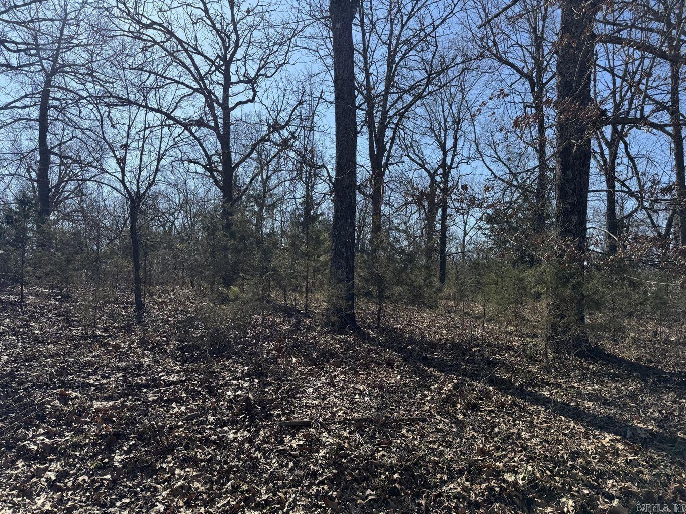 Photo 5 - Vacant Land for sale – 0  Sundown   Highland, AR