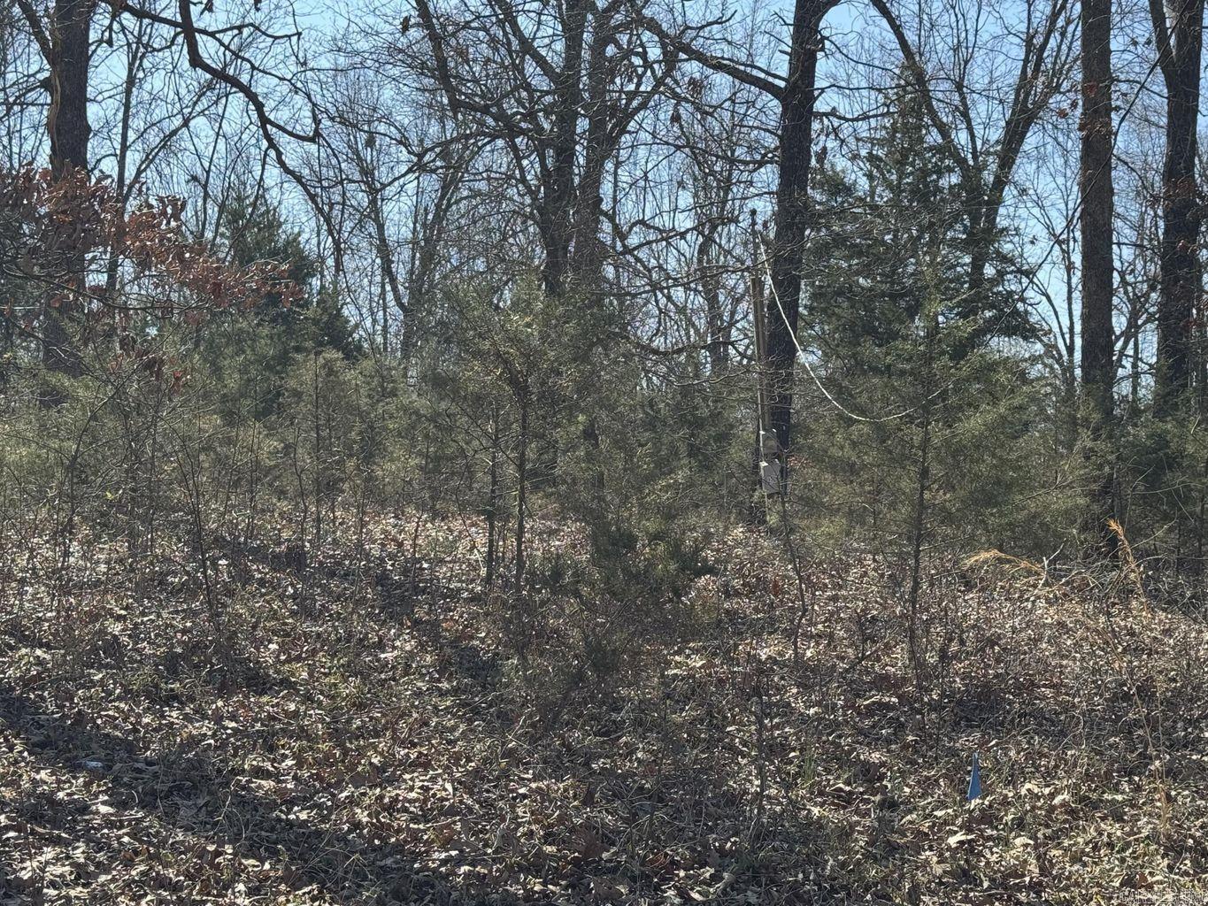 Photo 6 - Vacant Land for sale – 0  Sundown   Highland, AR