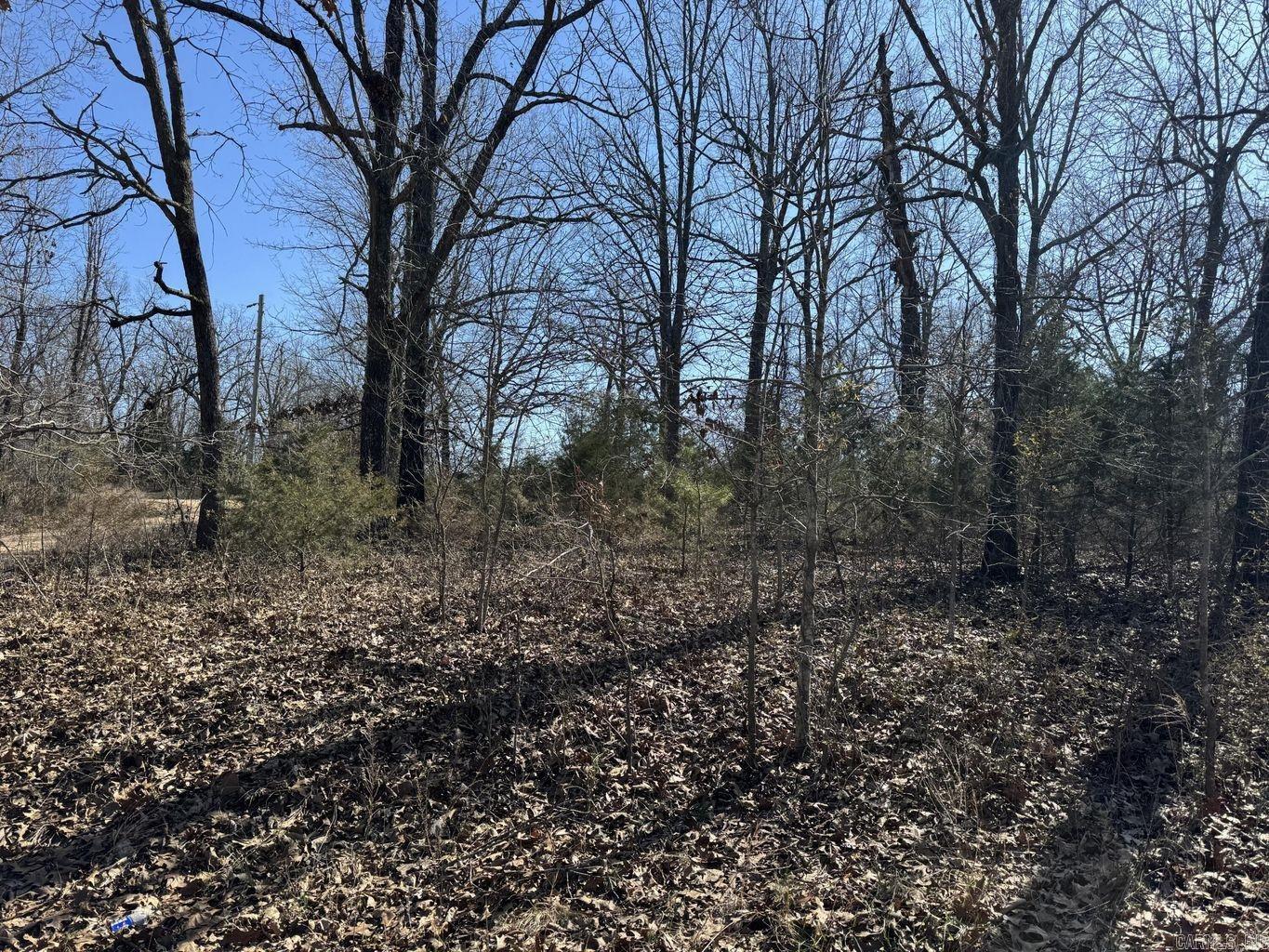 Photo 7 - Vacant Land for sale – 0  Sundown   Highland, AR