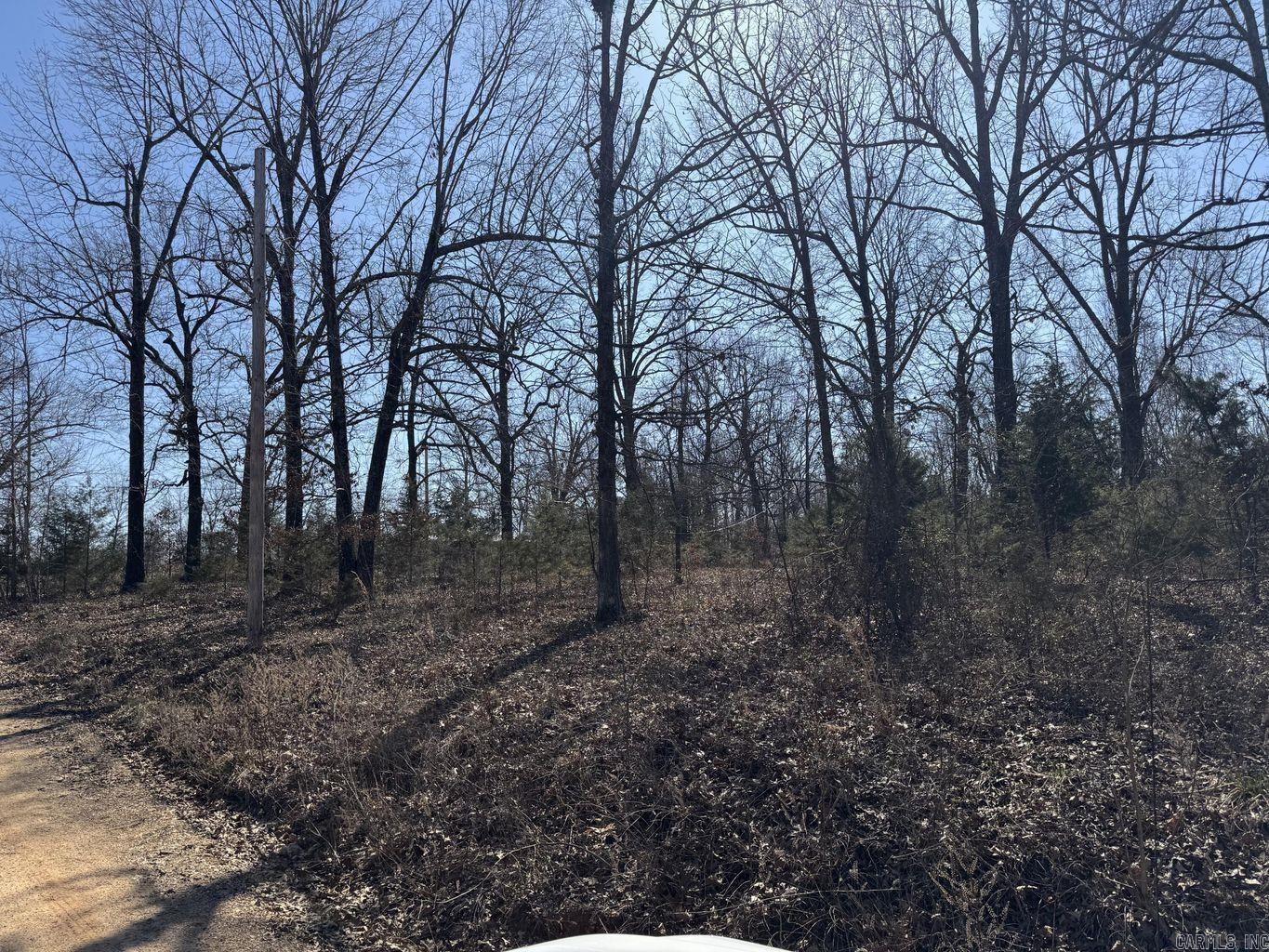 Photo 8 - Vacant Land for sale – 0  Sundown   Highland, AR
