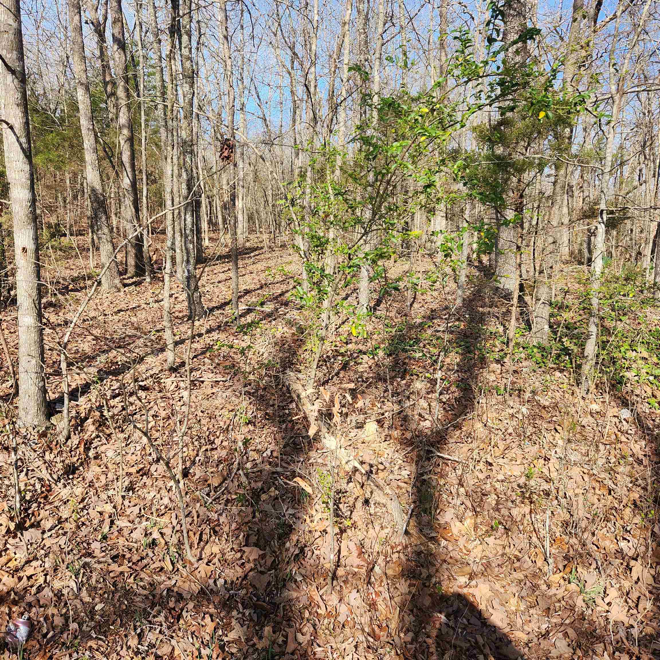 Photo 2 - Vacant Land for sale –  W Lakeshore   Cherokee Village, AR
