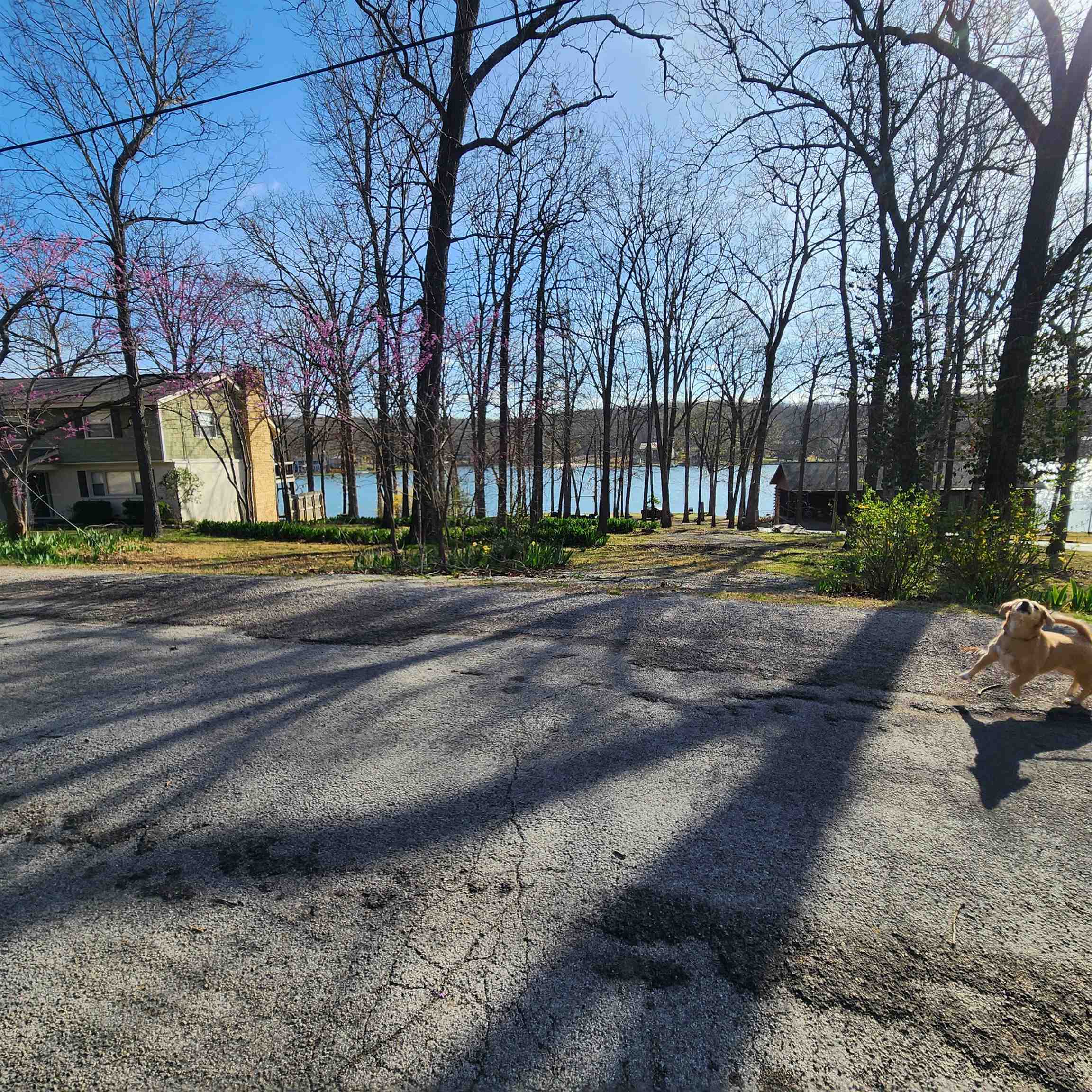 Photo 13 - Vacant Land for sale –  W Lakeshore   Cherokee Village, AR