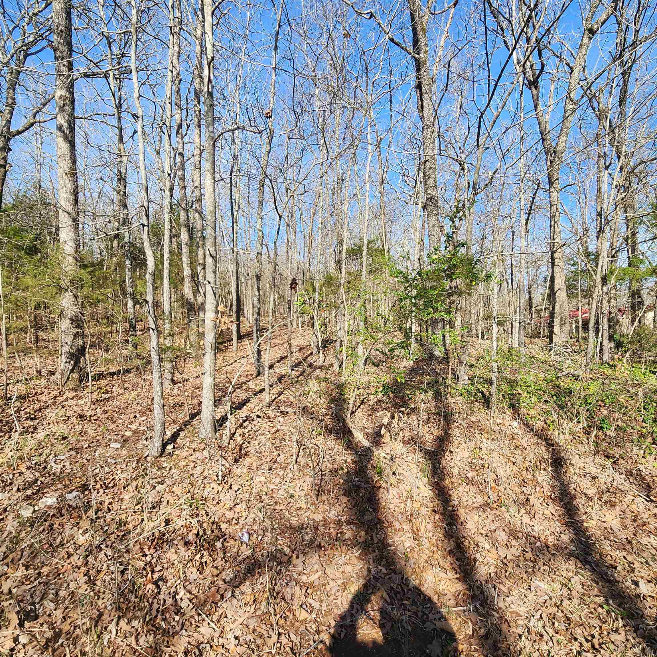 Photo 15 - Vacant Land for sale –  W Lakeshore   Cherokee Village, AR