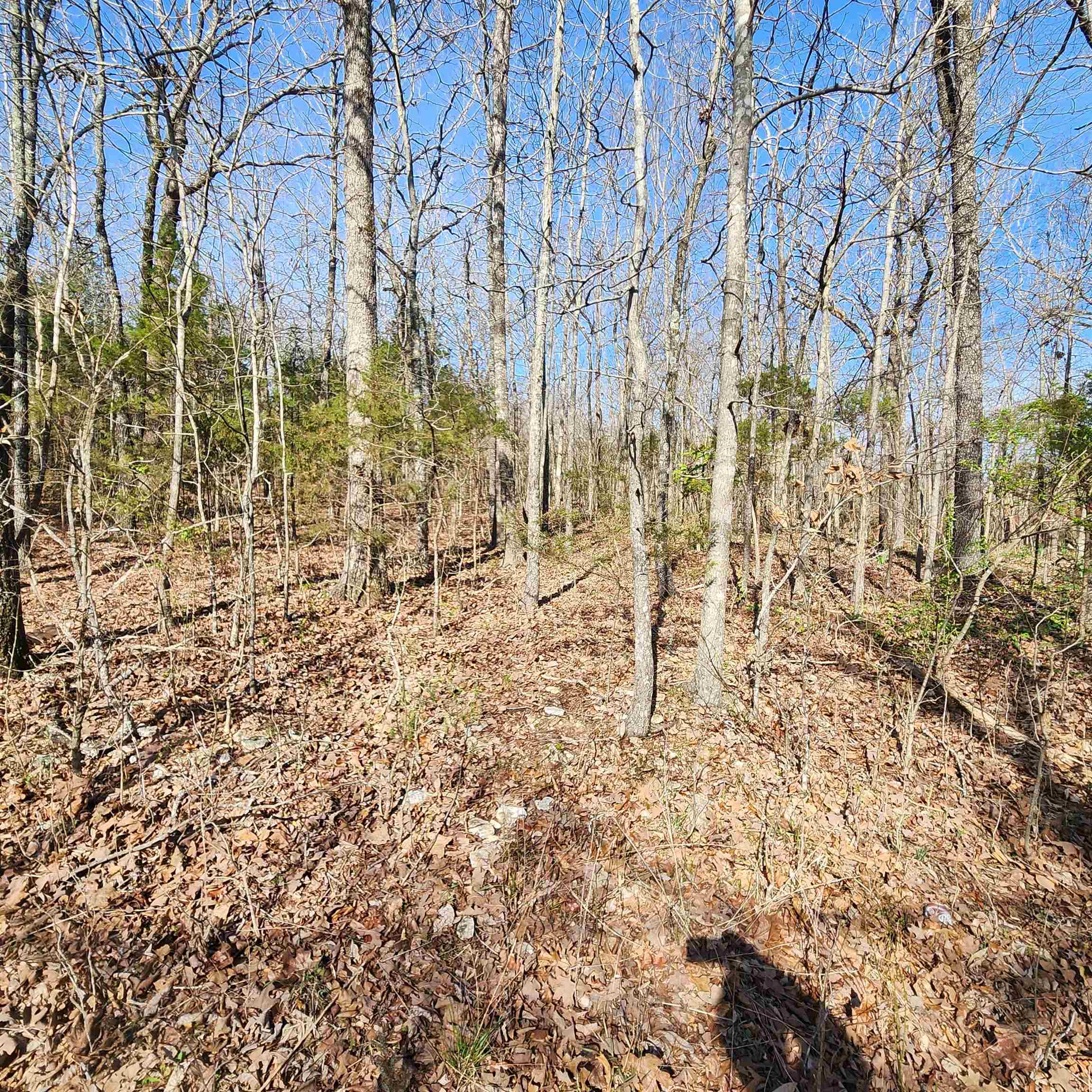 Photo 16 - Vacant Land for sale –  W Lakeshore   Cherokee Village, AR