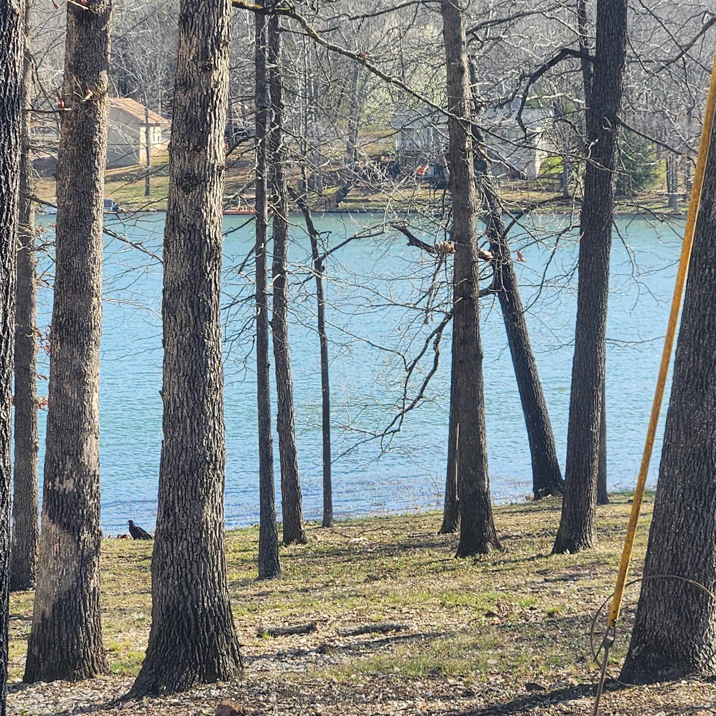 Photo 20 - Vacant Land for sale –  W Lakeshore   Cherokee Village, AR