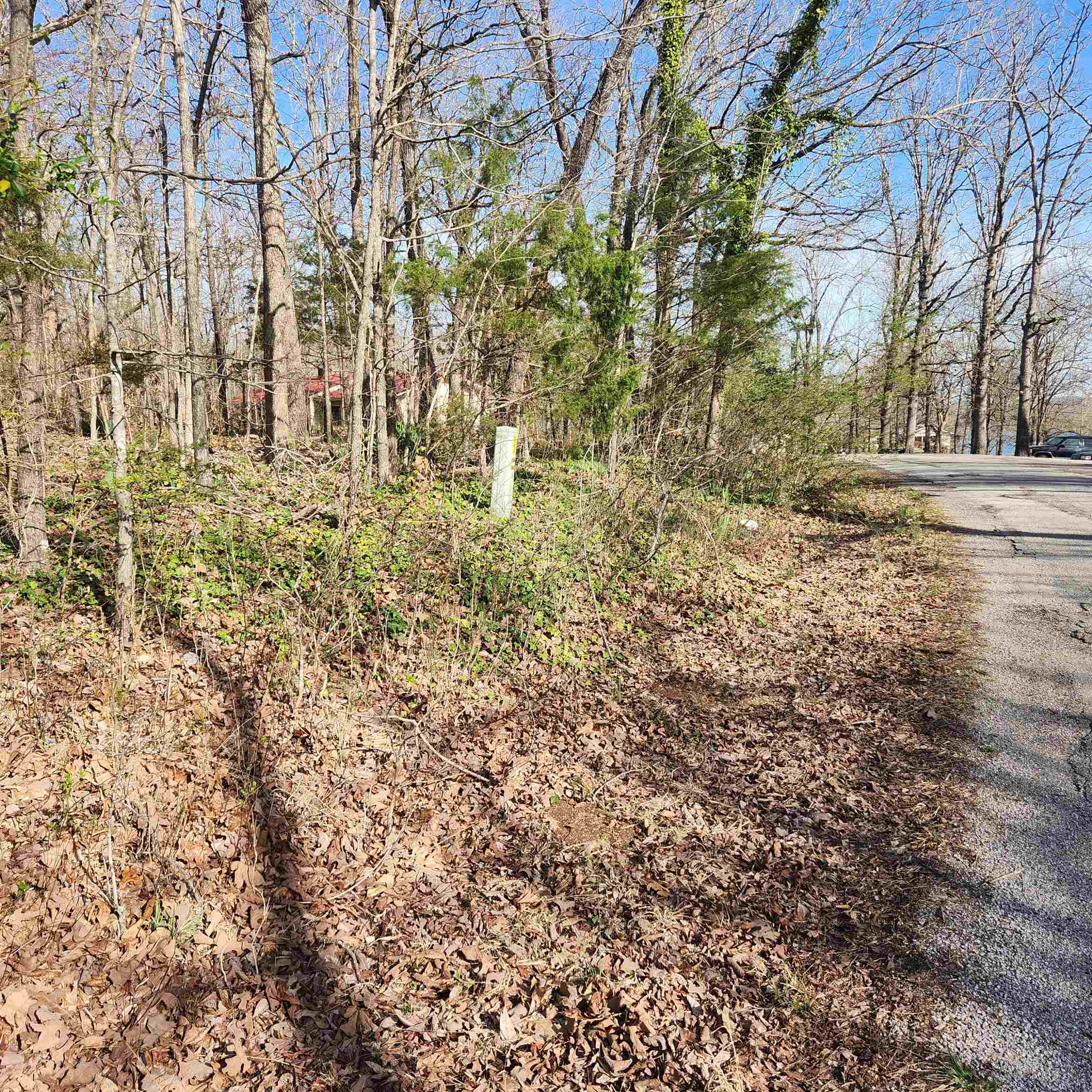 Photo 3 - Vacant Land for sale –  W Lakeshore   Cherokee Village, AR