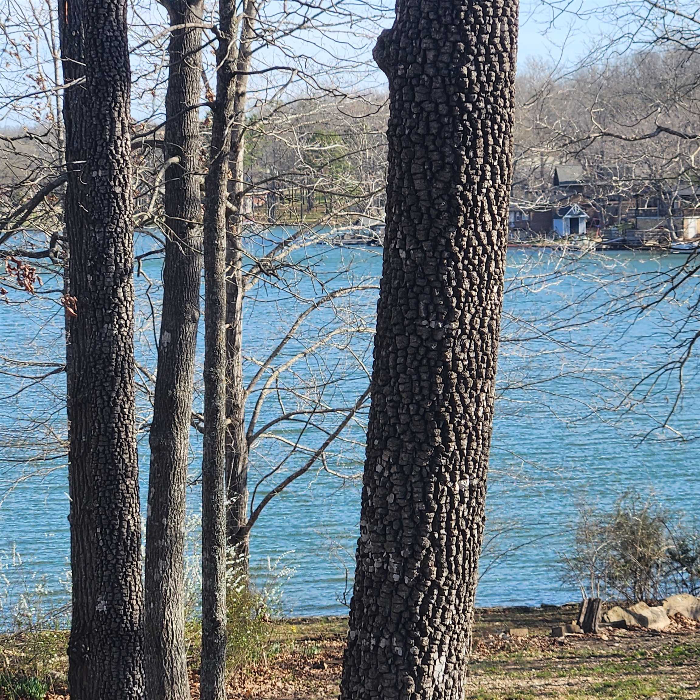 Photo 21 - Vacant Land for sale –  W Lakeshore   Cherokee Village, AR