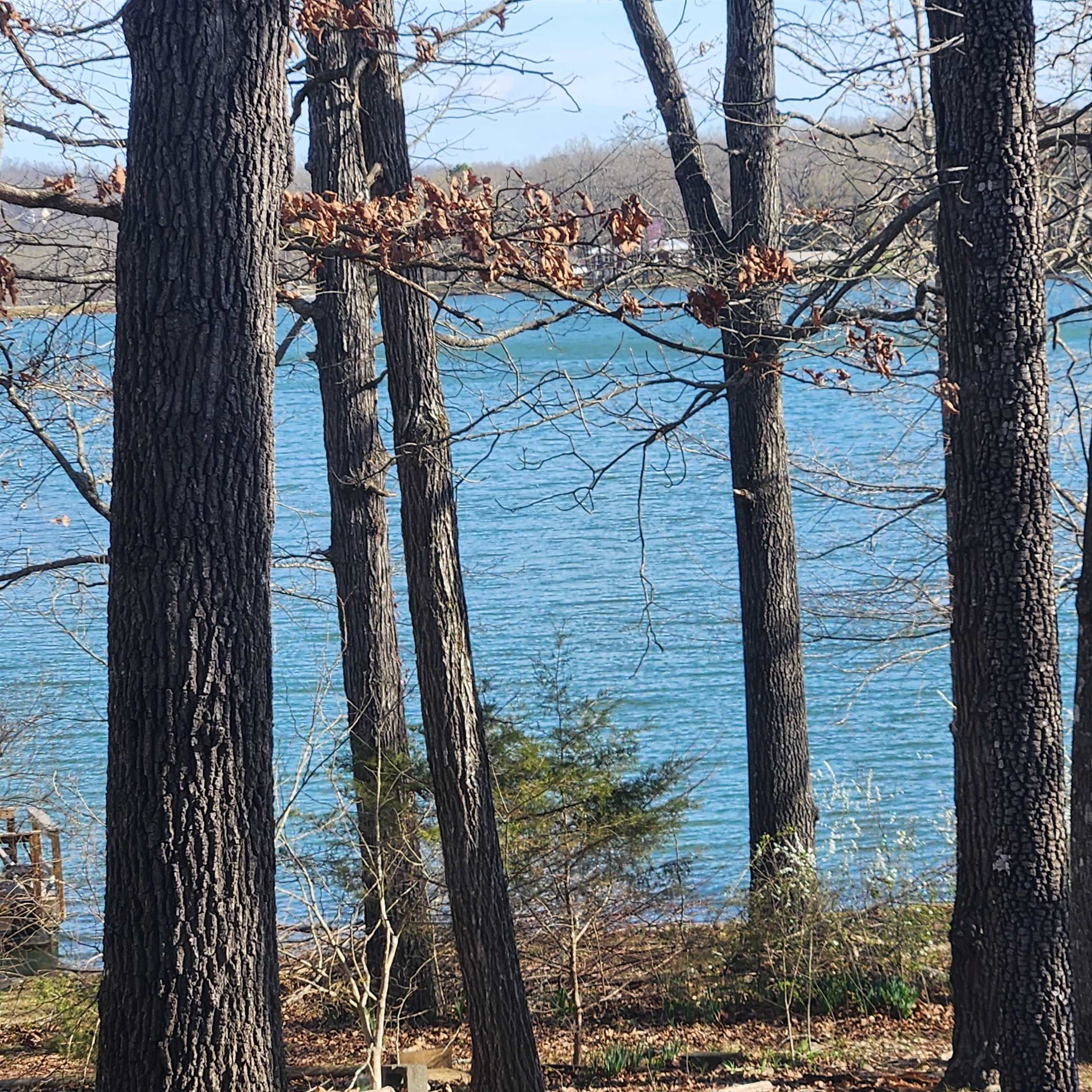 Photo 22 - Vacant Land for sale –  W Lakeshore   Cherokee Village, AR