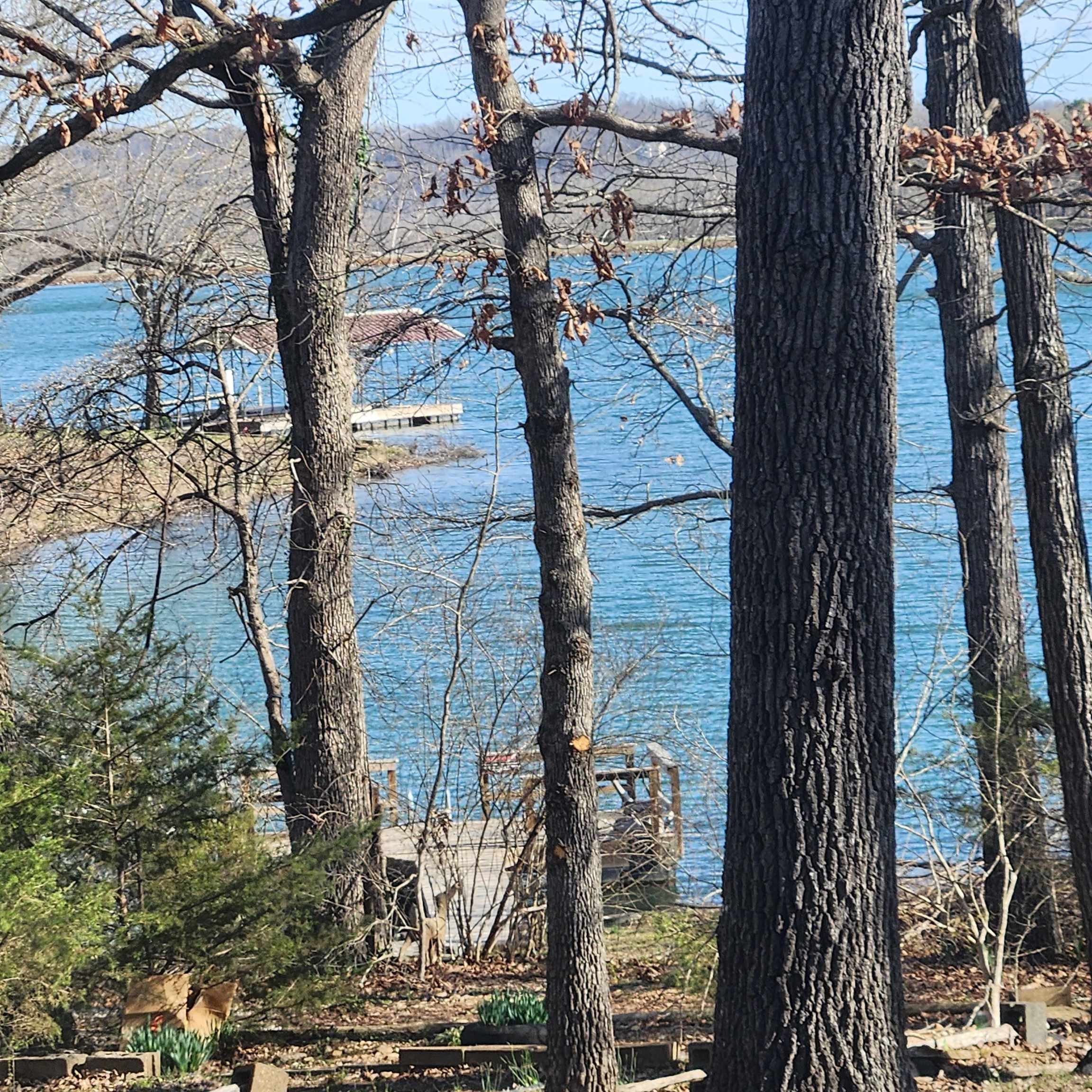 Photo 23 - Vacant Land for sale –  W Lakeshore   Cherokee Village, AR