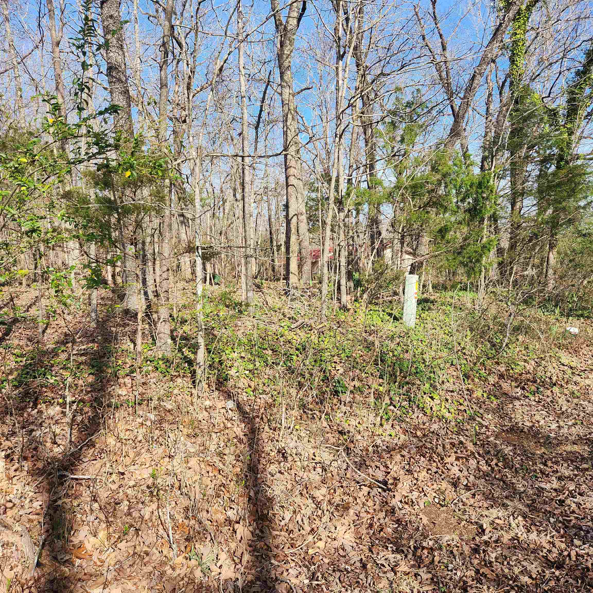 Photo 4 - Vacant Land for sale –  W Lakeshore   Cherokee Village, AR