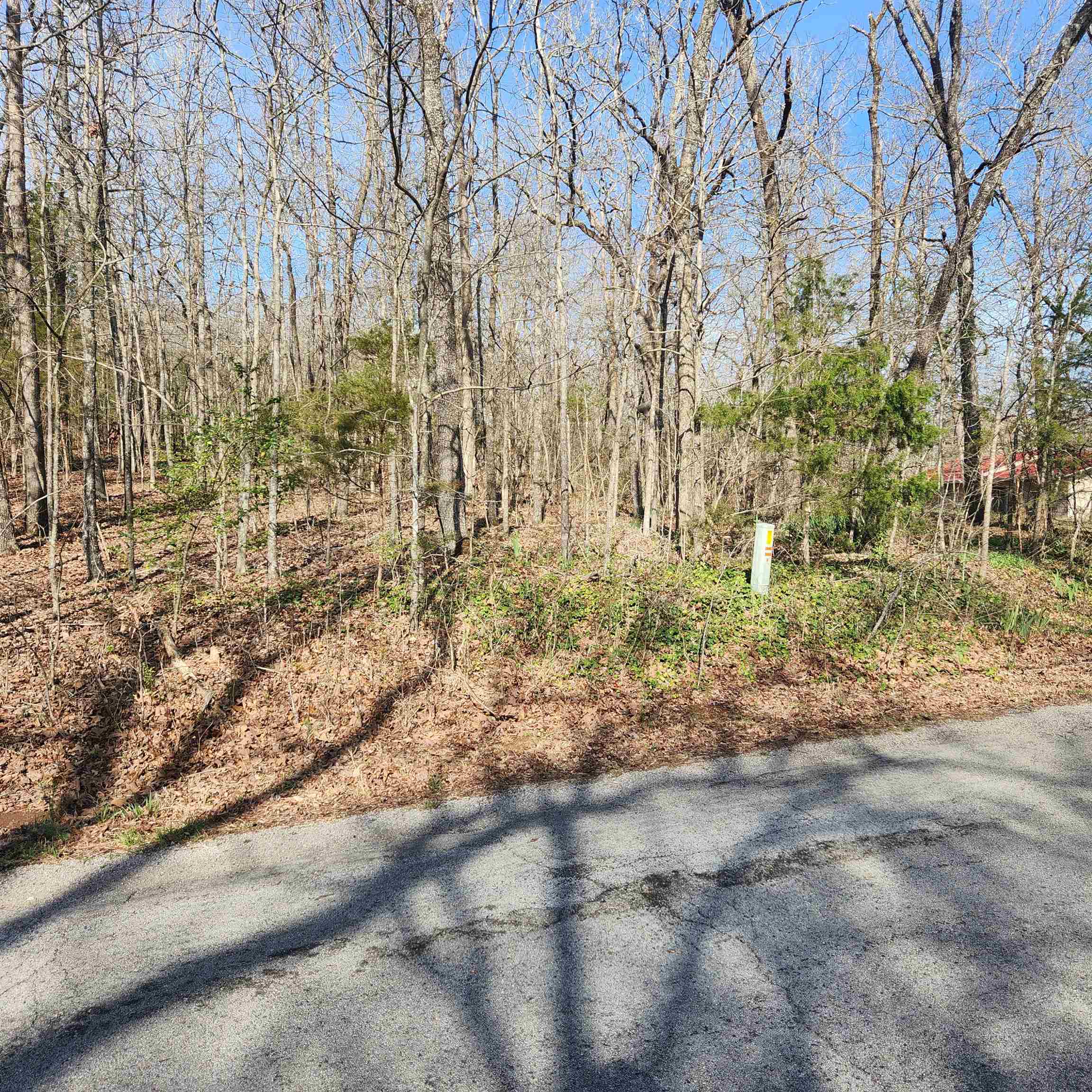 Photo 5 - Vacant Land for sale –  W Lakeshore   Cherokee Village, AR