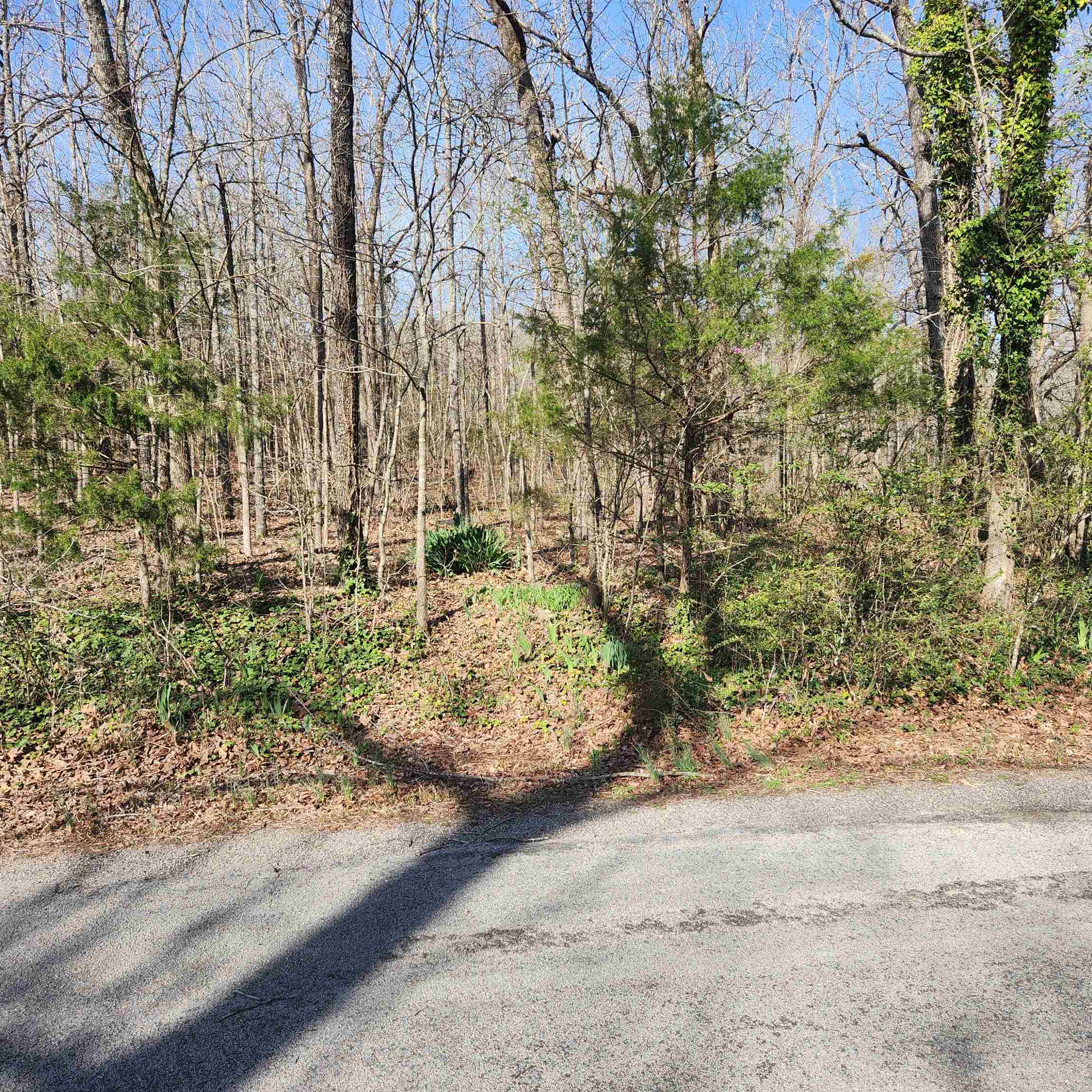 Photo 6 - Vacant Land for sale –  W Lakeshore   Cherokee Village, AR