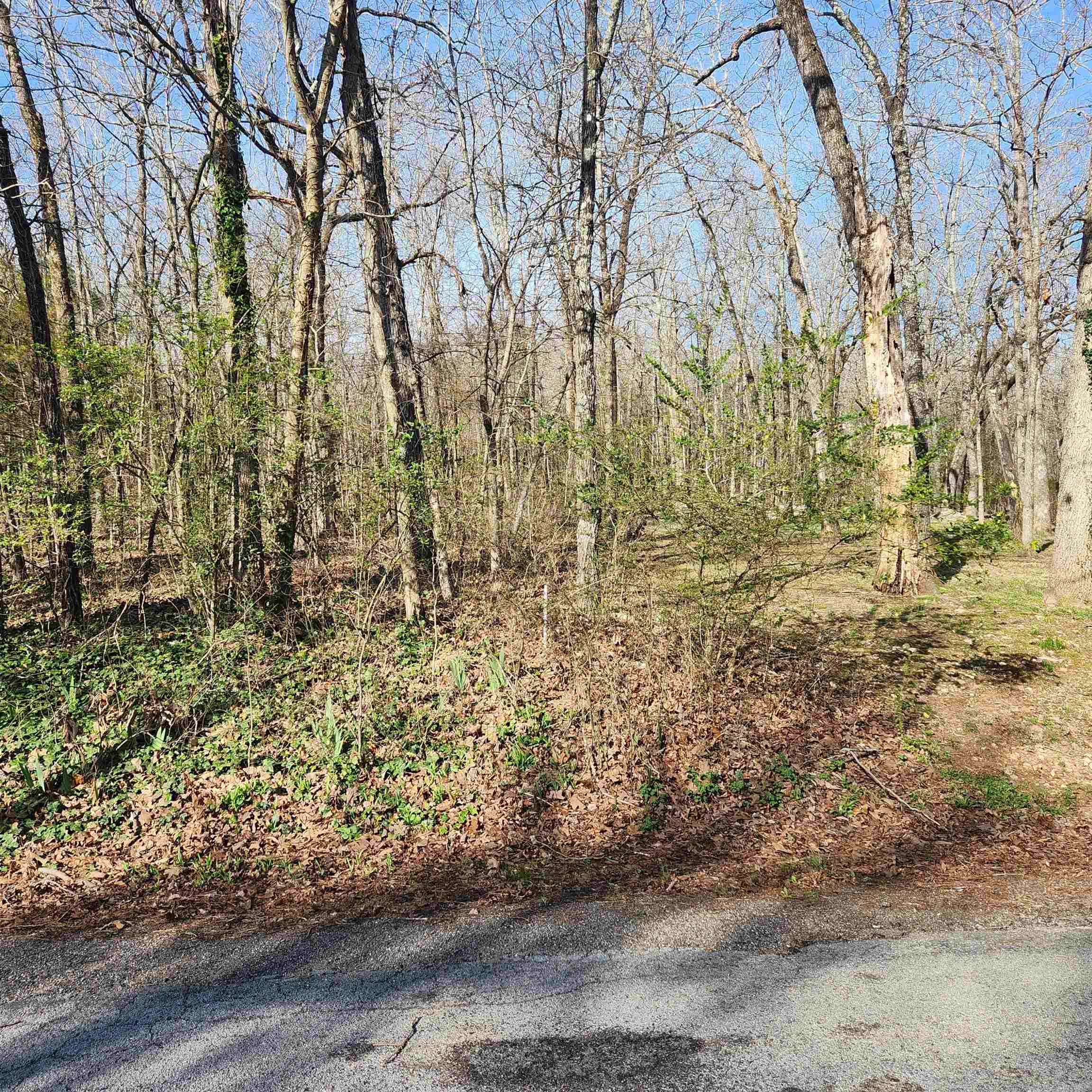 Photo 7 - Vacant Land for sale –  W Lakeshore   Cherokee Village, AR