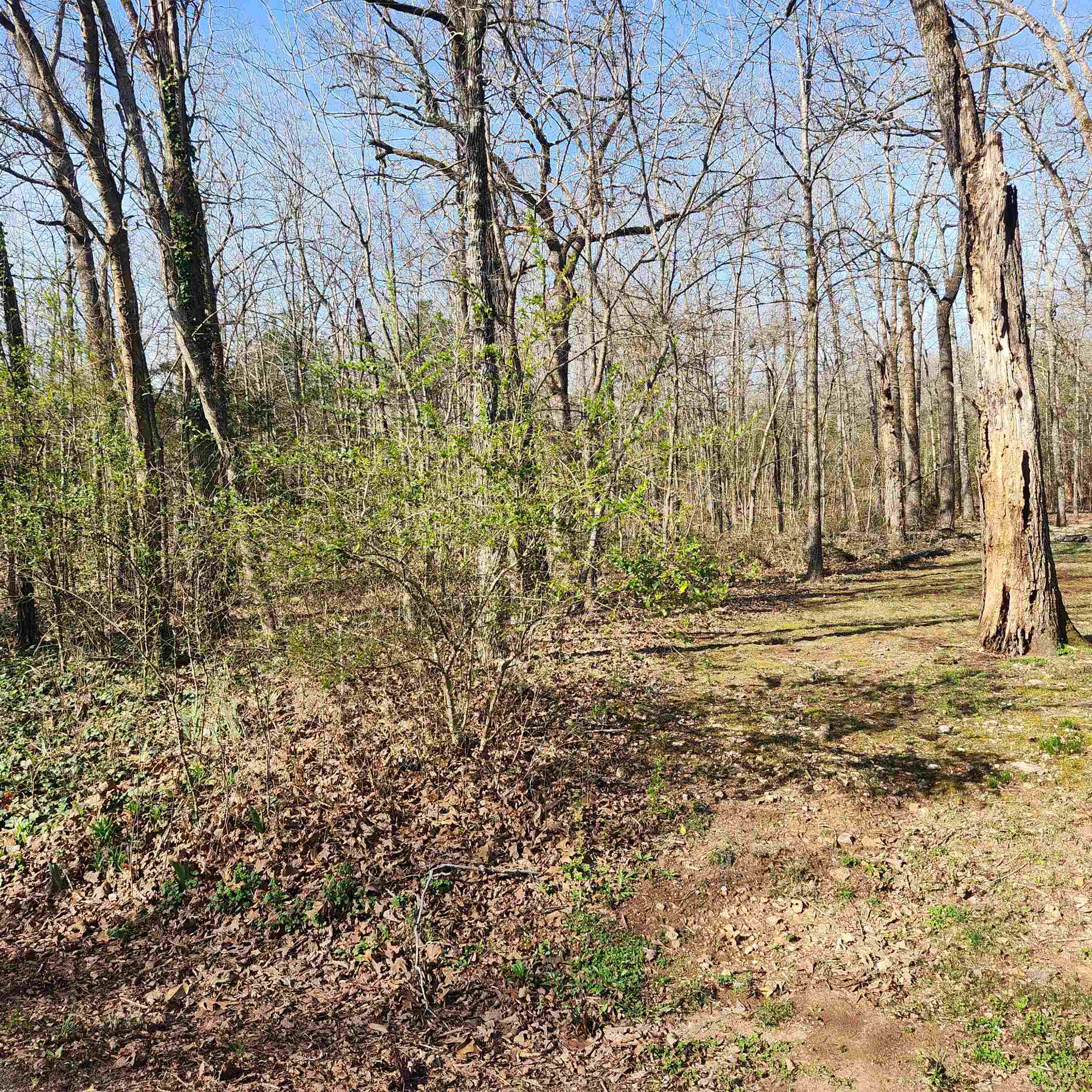 Photo 8 - Vacant Land for sale –  W Lakeshore   Cherokee Village, AR