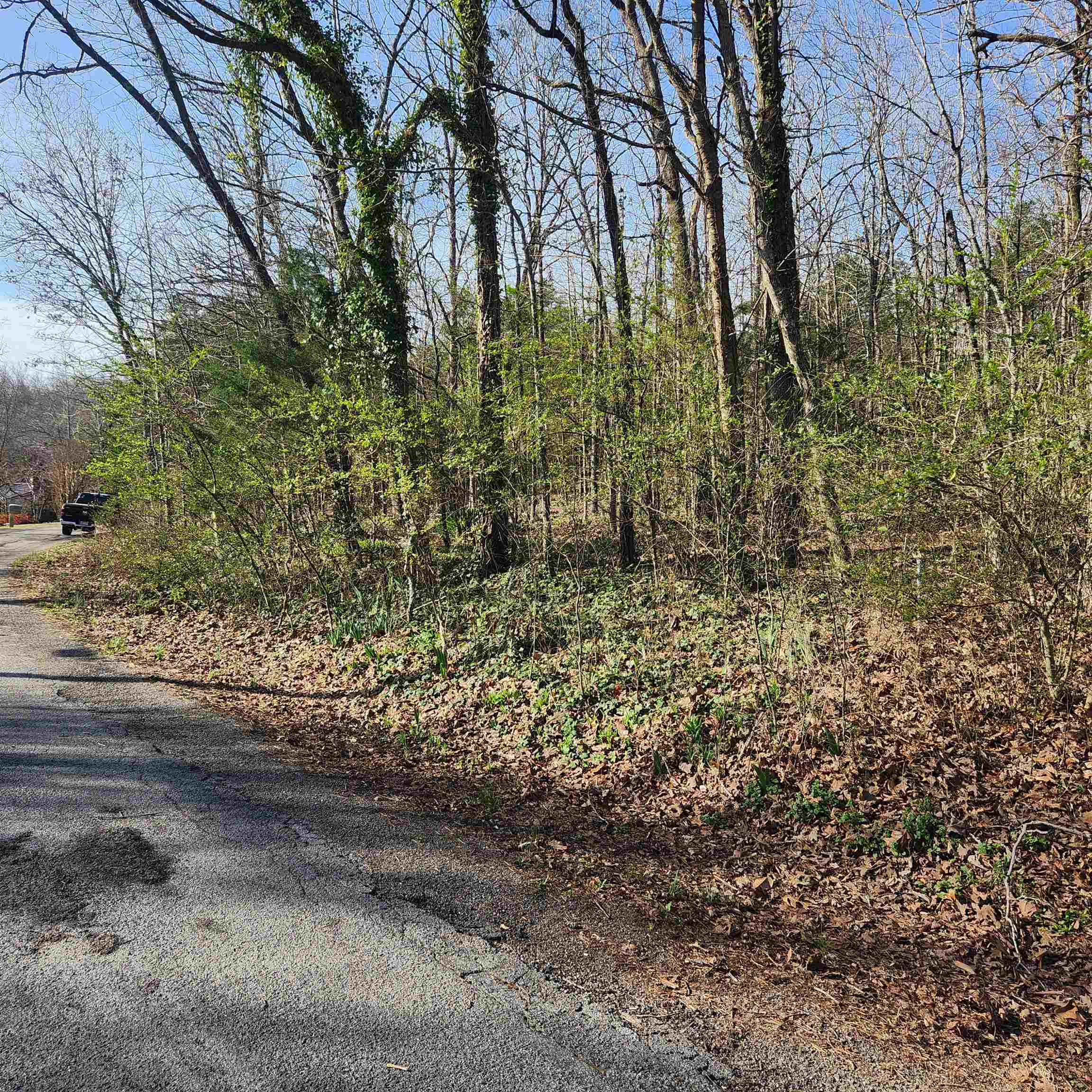 Photo 9 - Vacant Land for sale –  W Lakeshore   Cherokee Village, AR