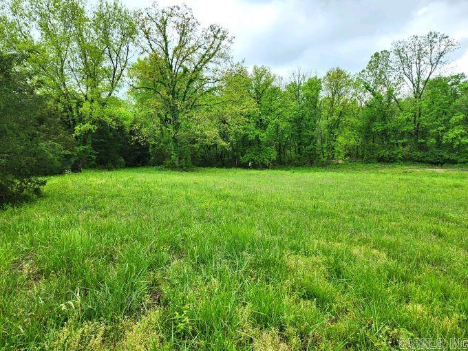 Photo 3 - Vacant Land for sale – 2132  Easy K   Sage, AR