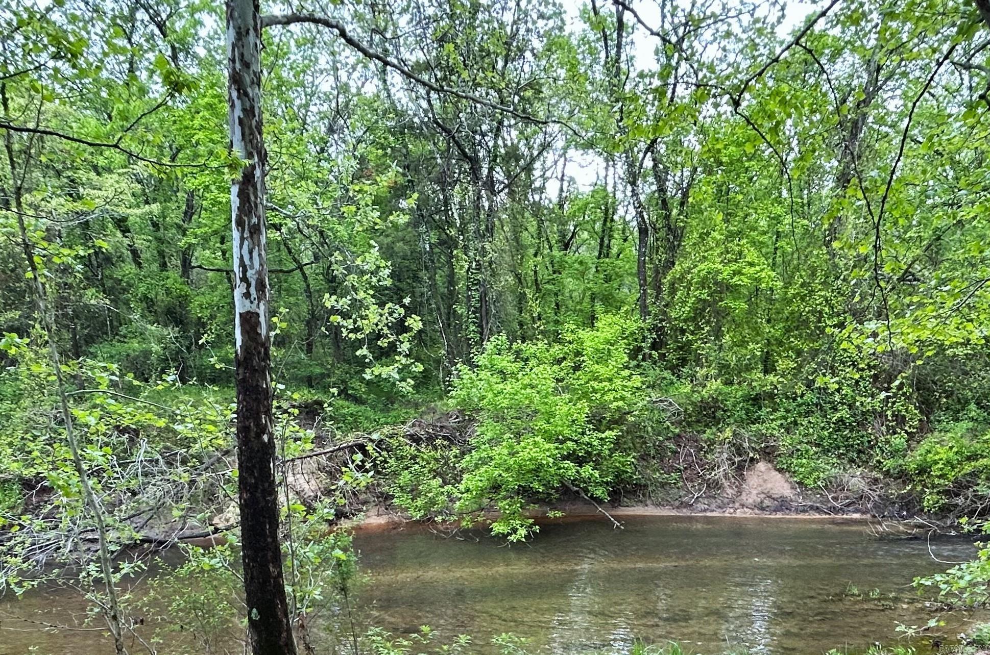 Photo 4 - Vacant Land for sale – 2132  Easy K   Sage, AR