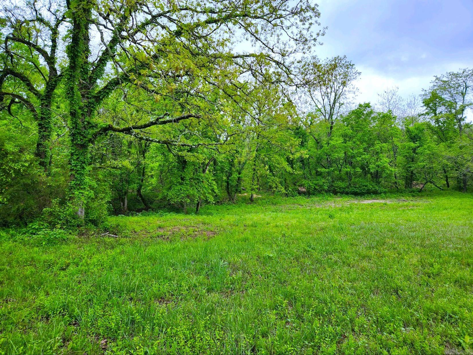 Photo 6 - Vacant Land for sale – 2132  Easy K   Sage, AR