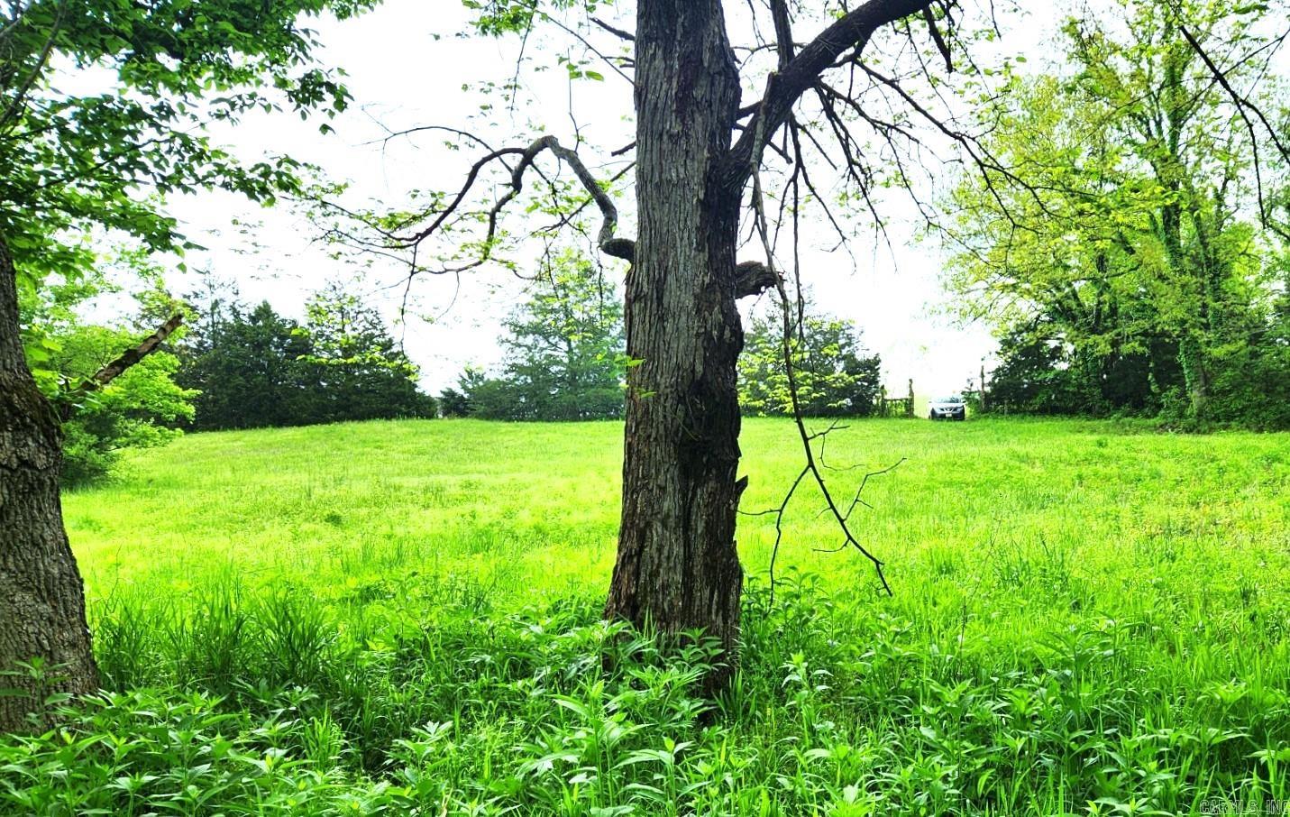 Photo 7 - Vacant Land for sale – 2132  Easy K   Sage, AR