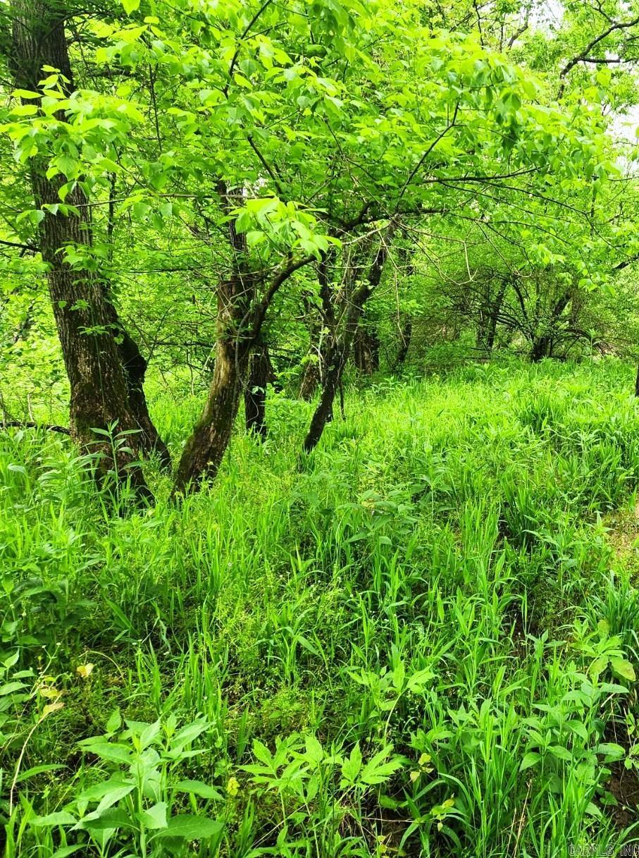 Photo 8 - Vacant Land for sale – 2132  Easy K   Sage, AR